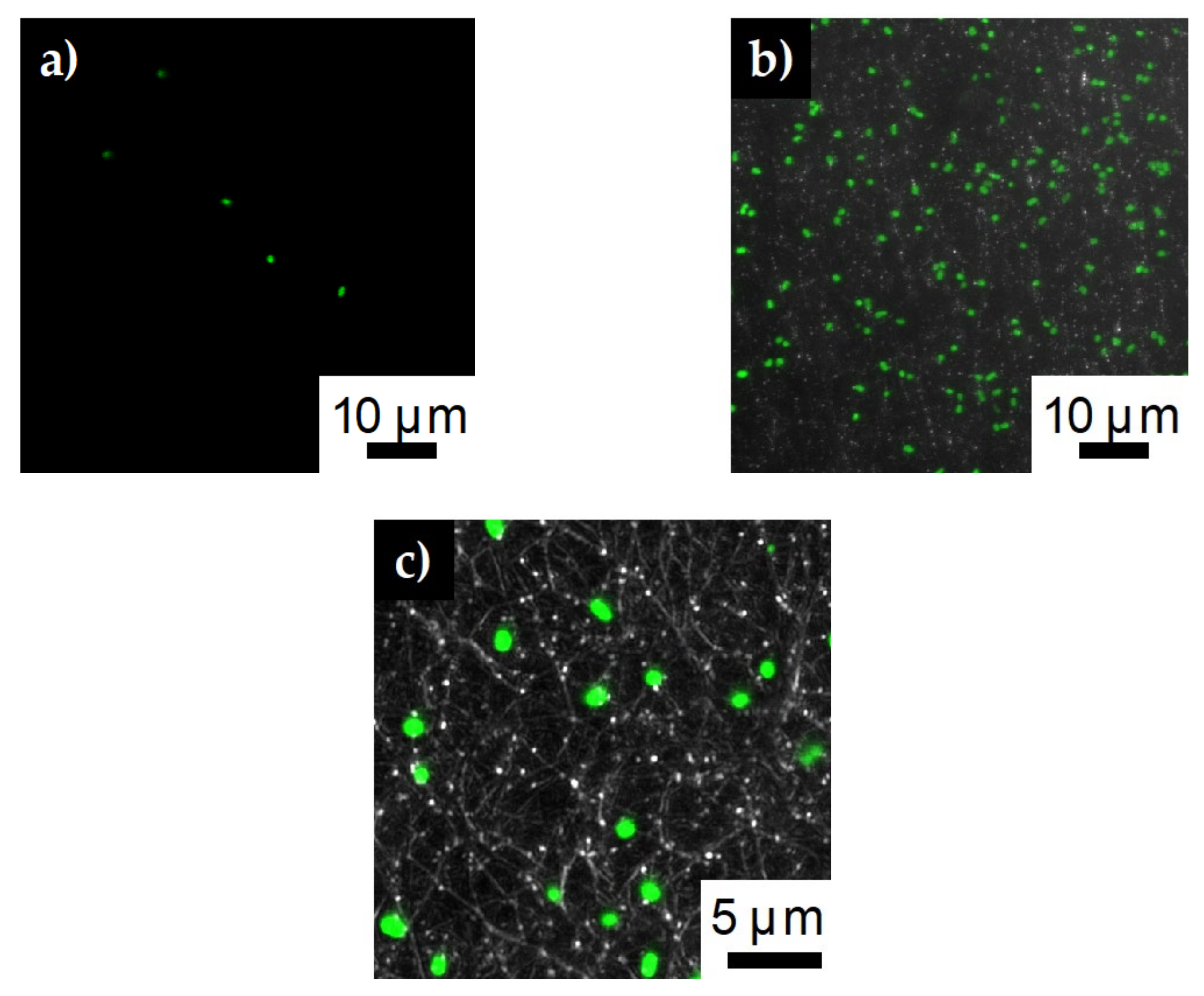 Polymers 12 01117 g010 Polymers 12 01117 g010