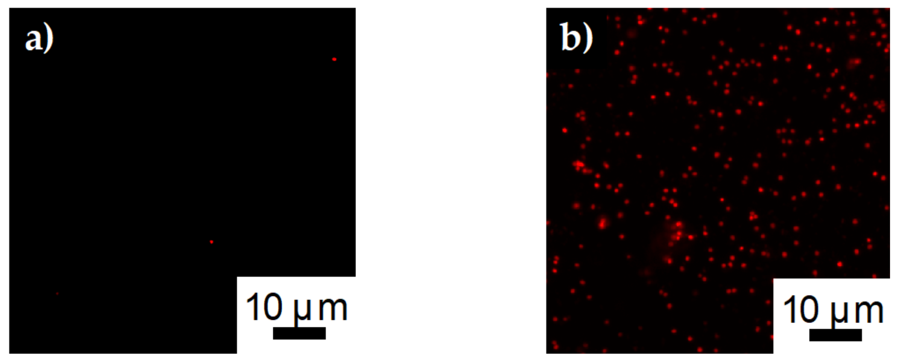 Polymers 12 01117 g012 Polymers 12 01117 g012