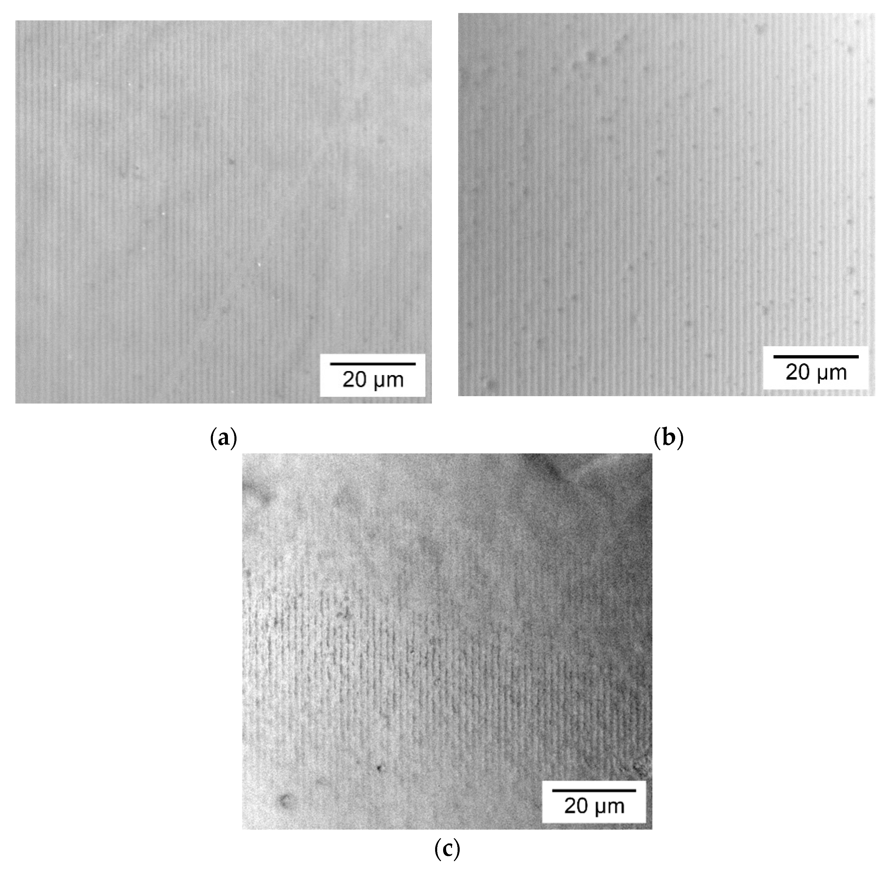Polymers 12 01123 g003 Polymers 12 01123 g003