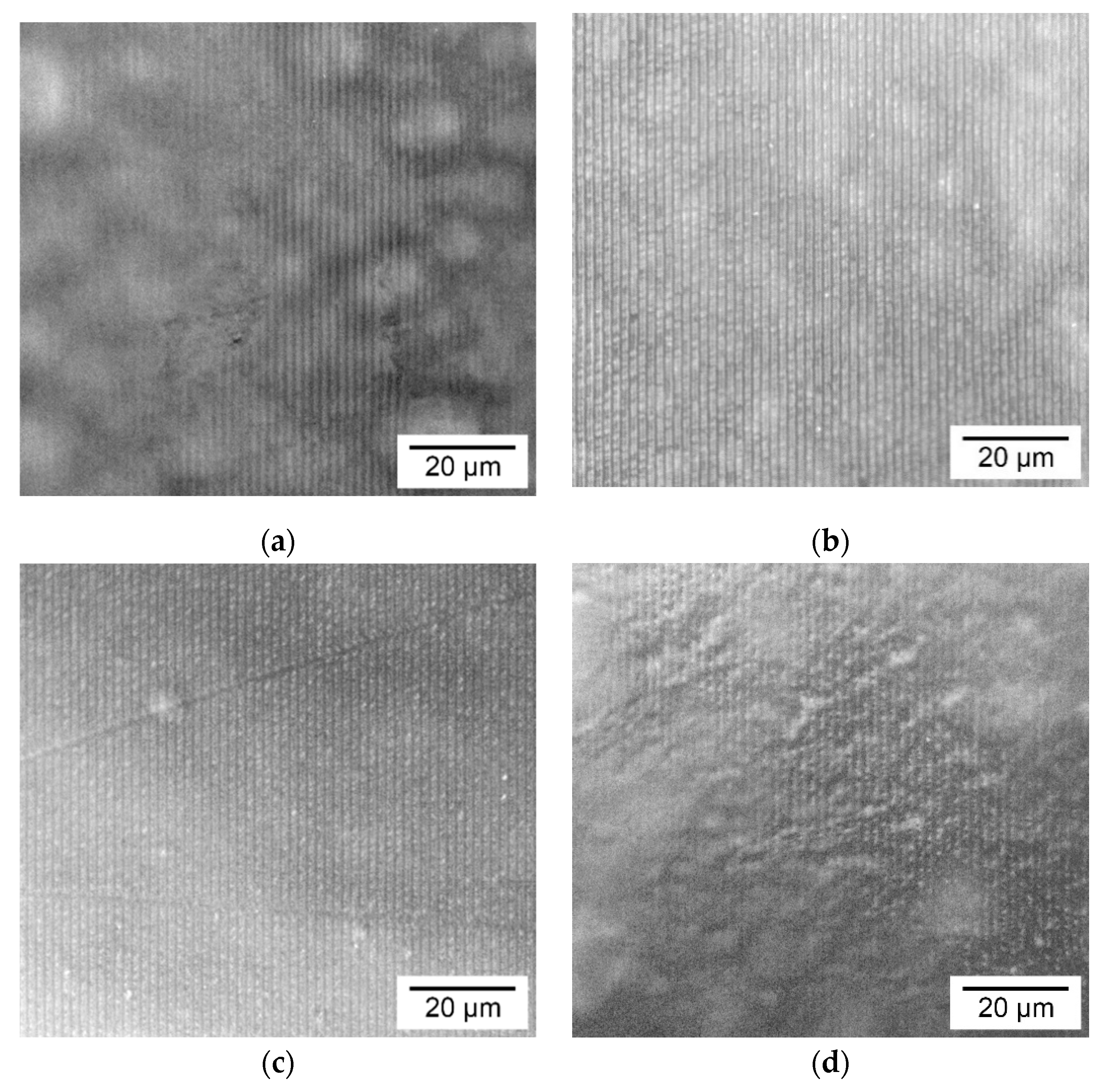 Polymers 12 01123 g004 Polymers 12 01123 g004