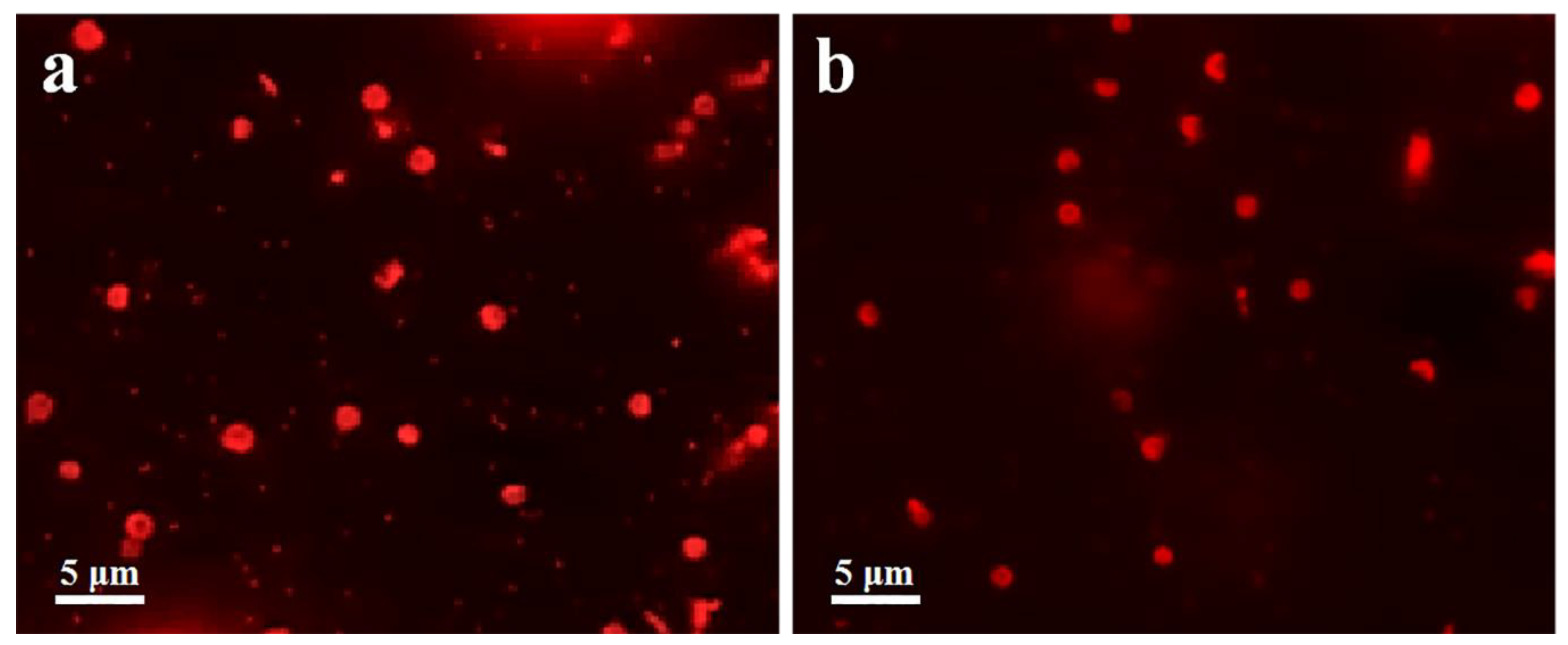 Polymers 12 01124 g005