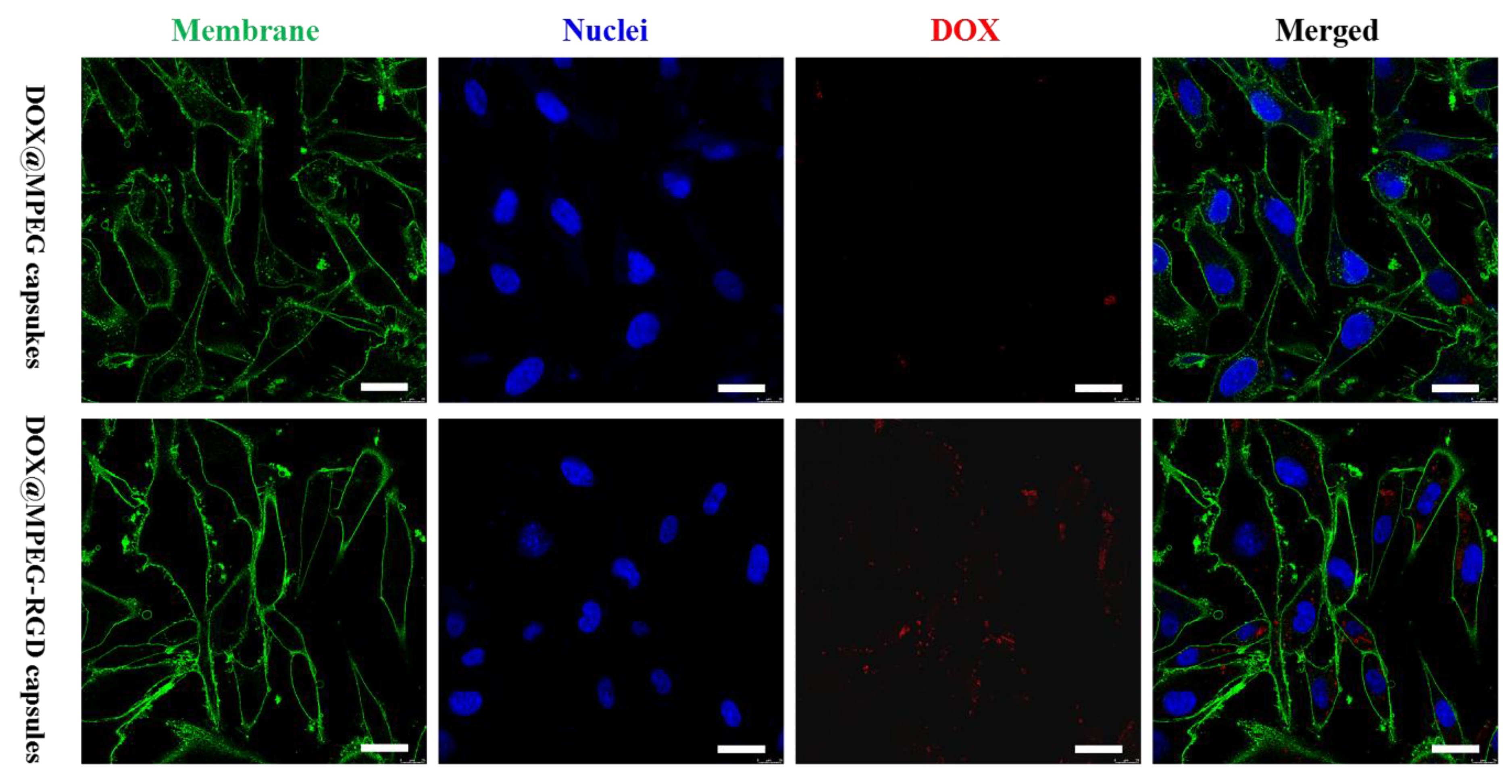 Polymers 12 01124 g007