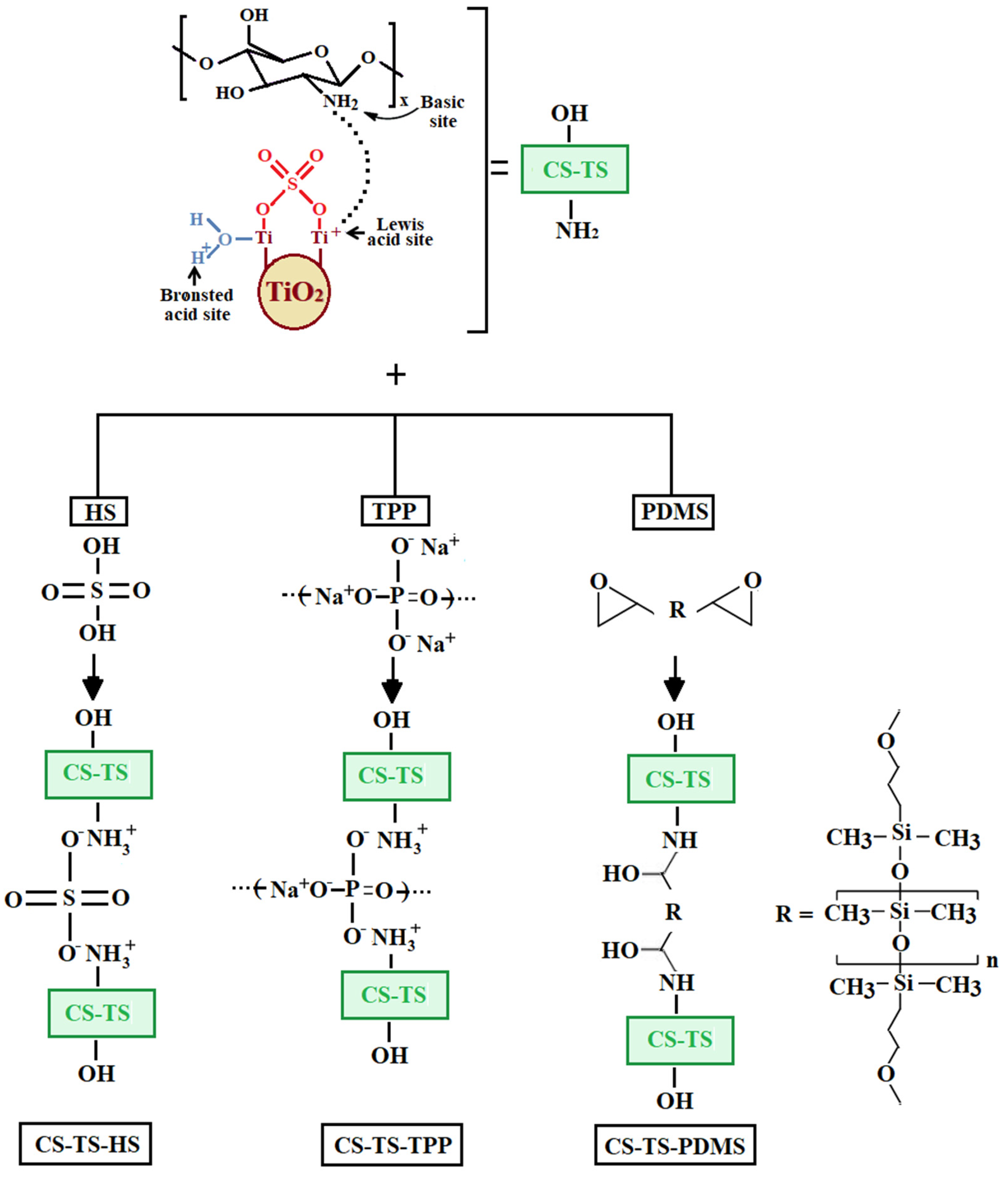Polymers 12 01125 sch001