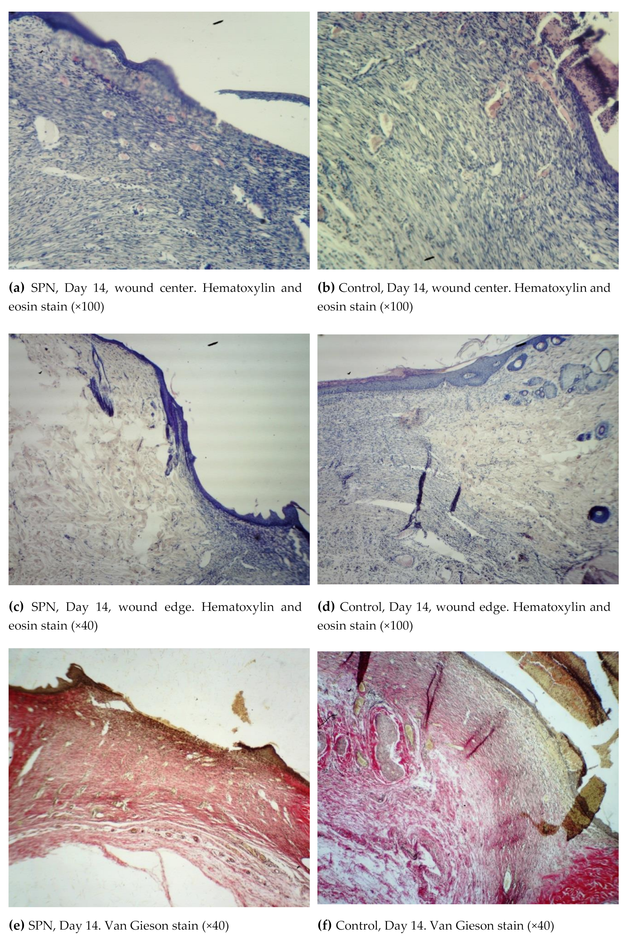 Polymers 12 01126 g005