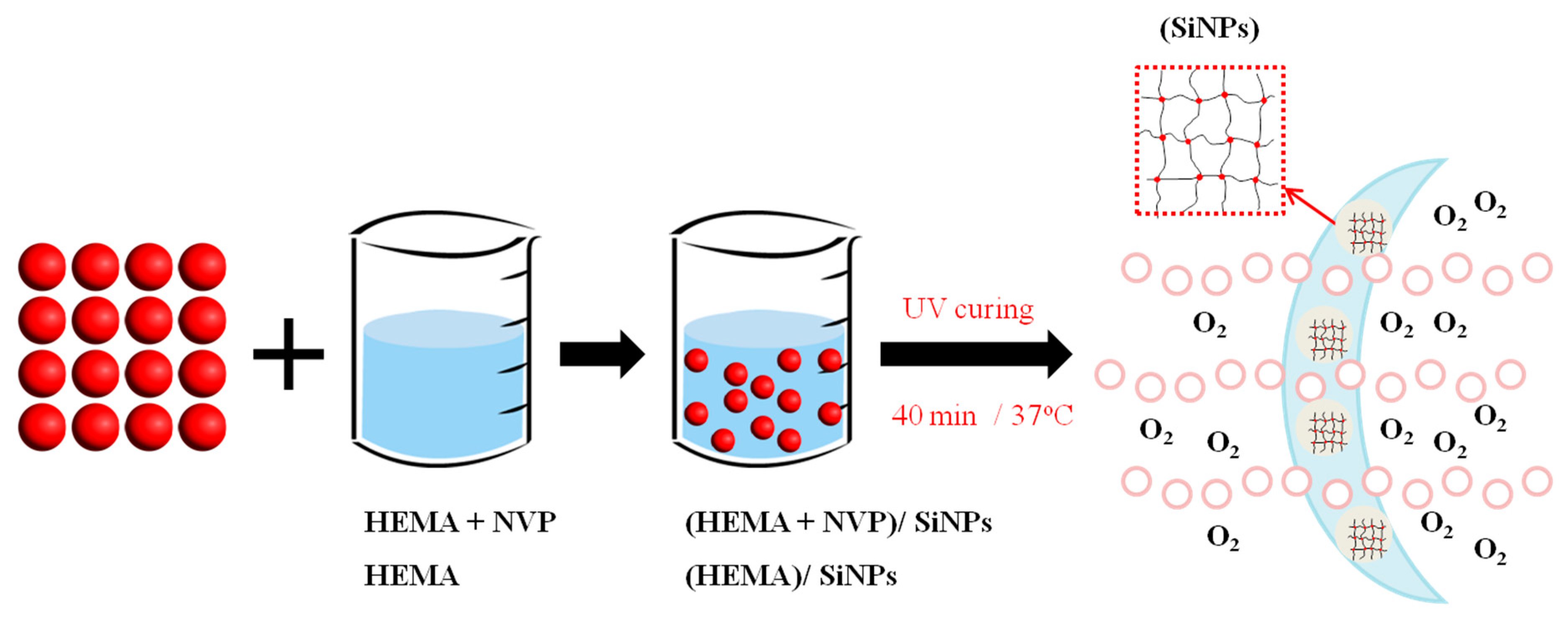 Polymers 12 01128 g002 Polymers 12 01128 g002