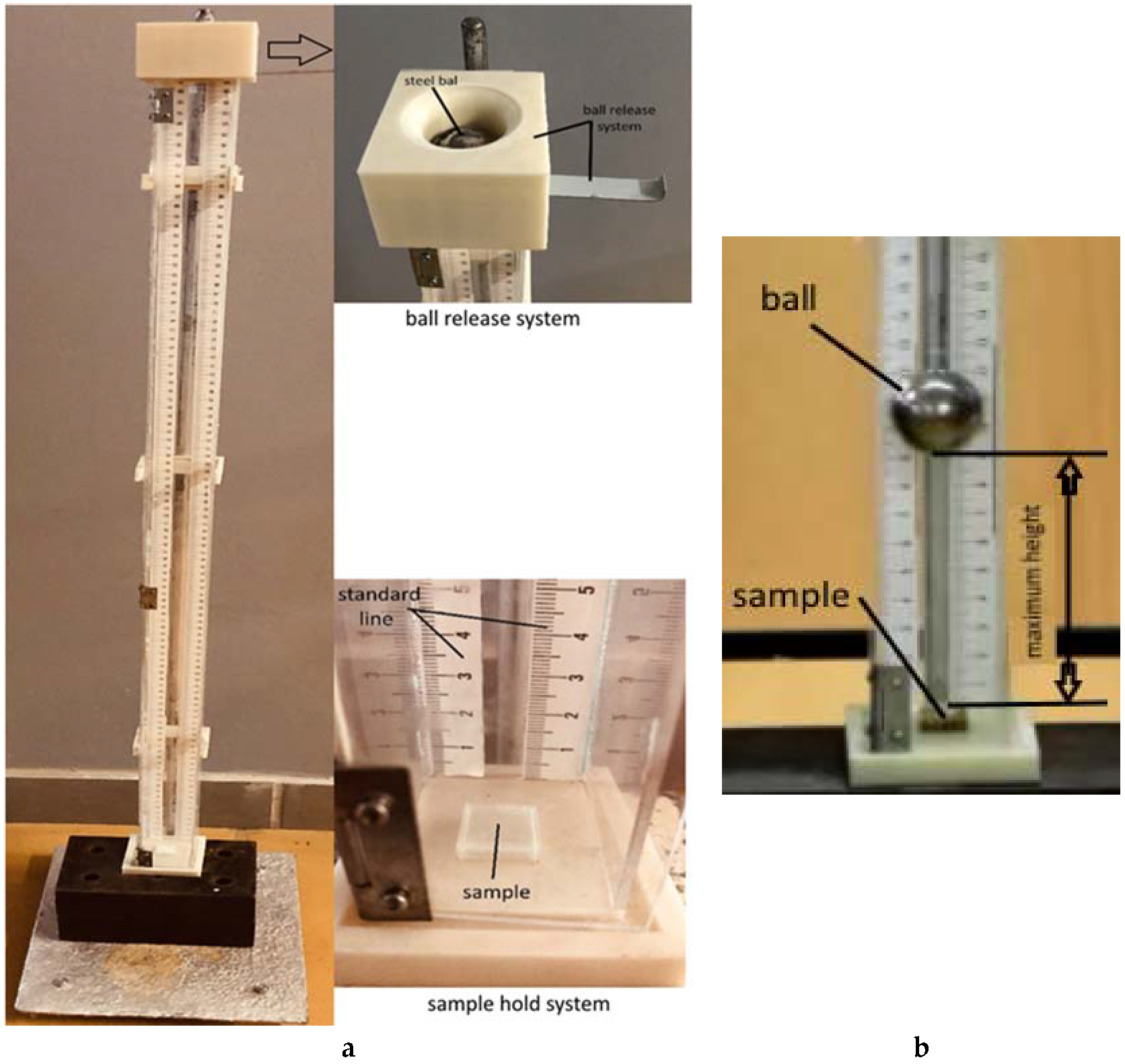Polymers 12 01129 g002 Polymers 12 01129 g002
