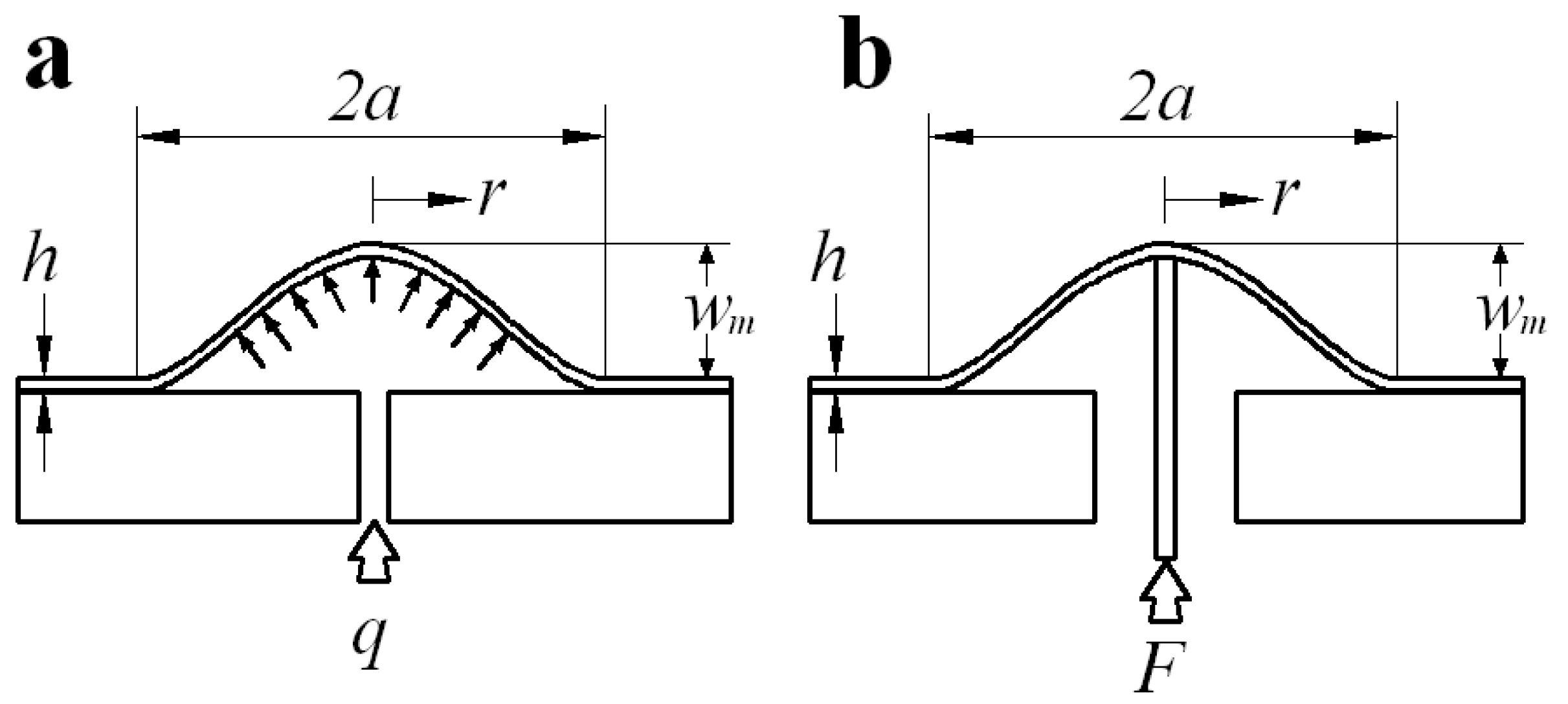 Polymers 12 01130 g001 Polymers 12 01130 g001