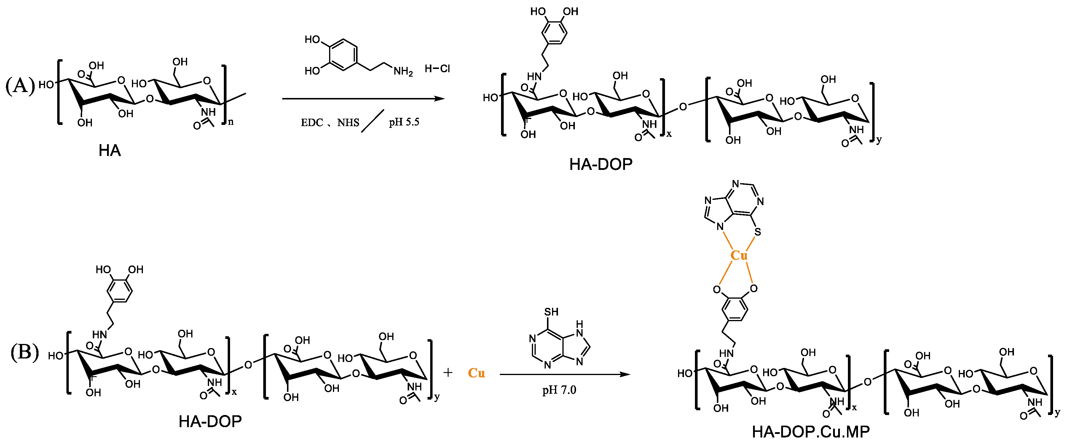Polymers 12 01132 g001 Polymers 12 01132 g001