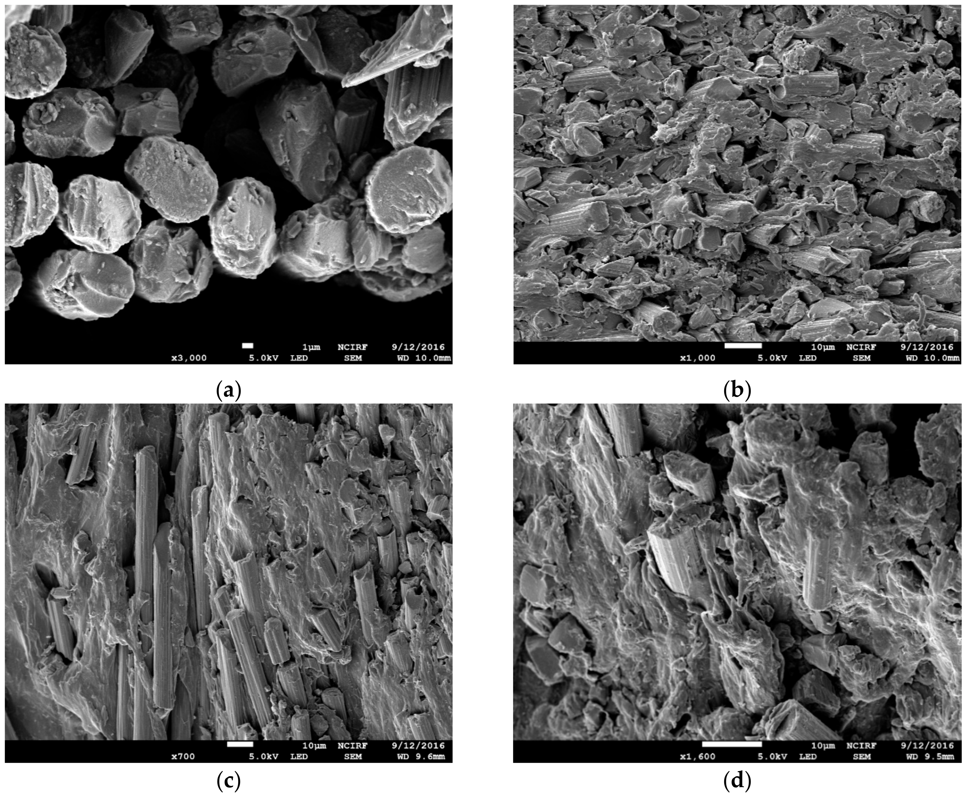 Polymers 12 01133 g007a