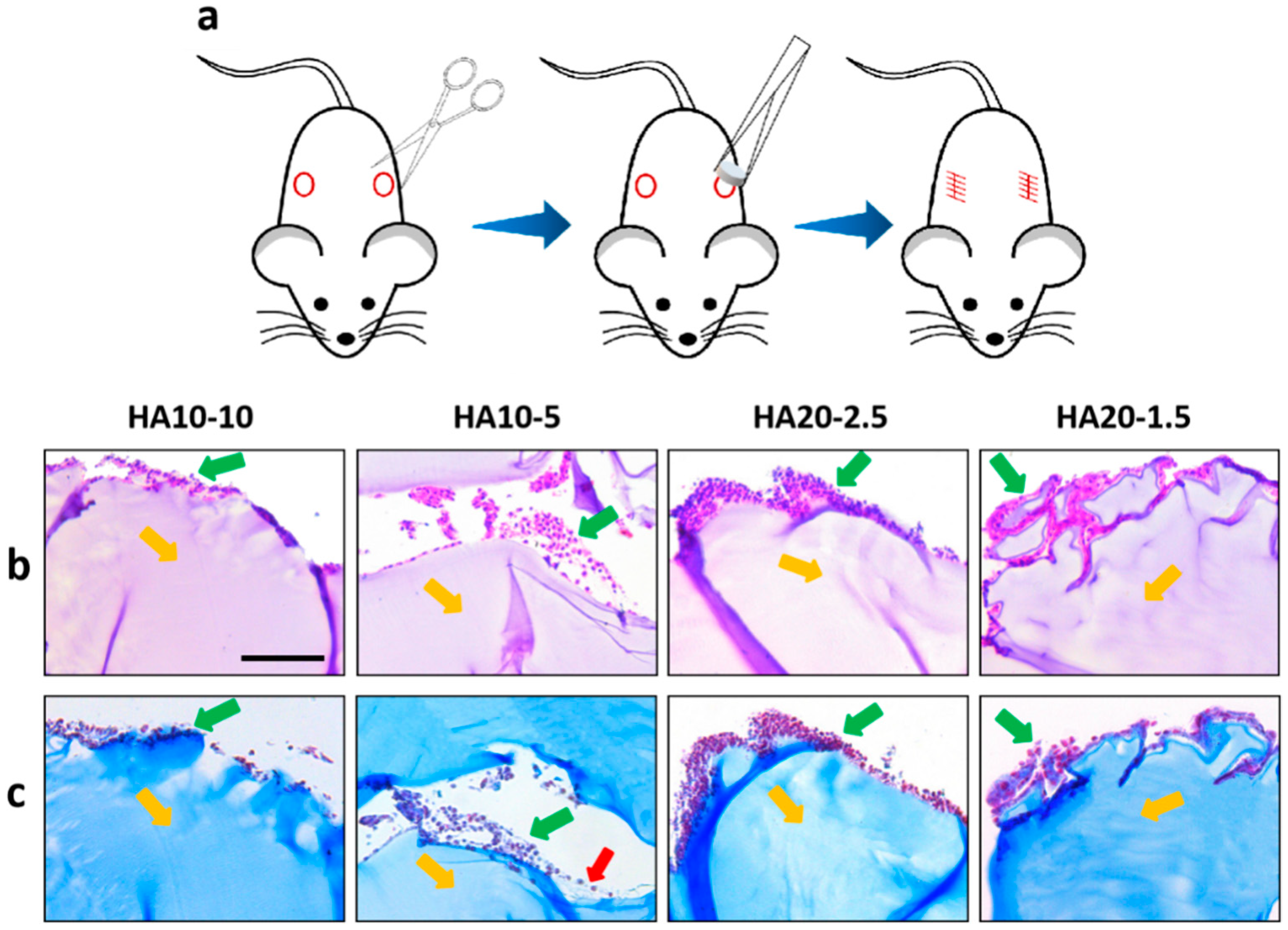 Polymers 12 01138 g007 Polymers 12 01138 g007
