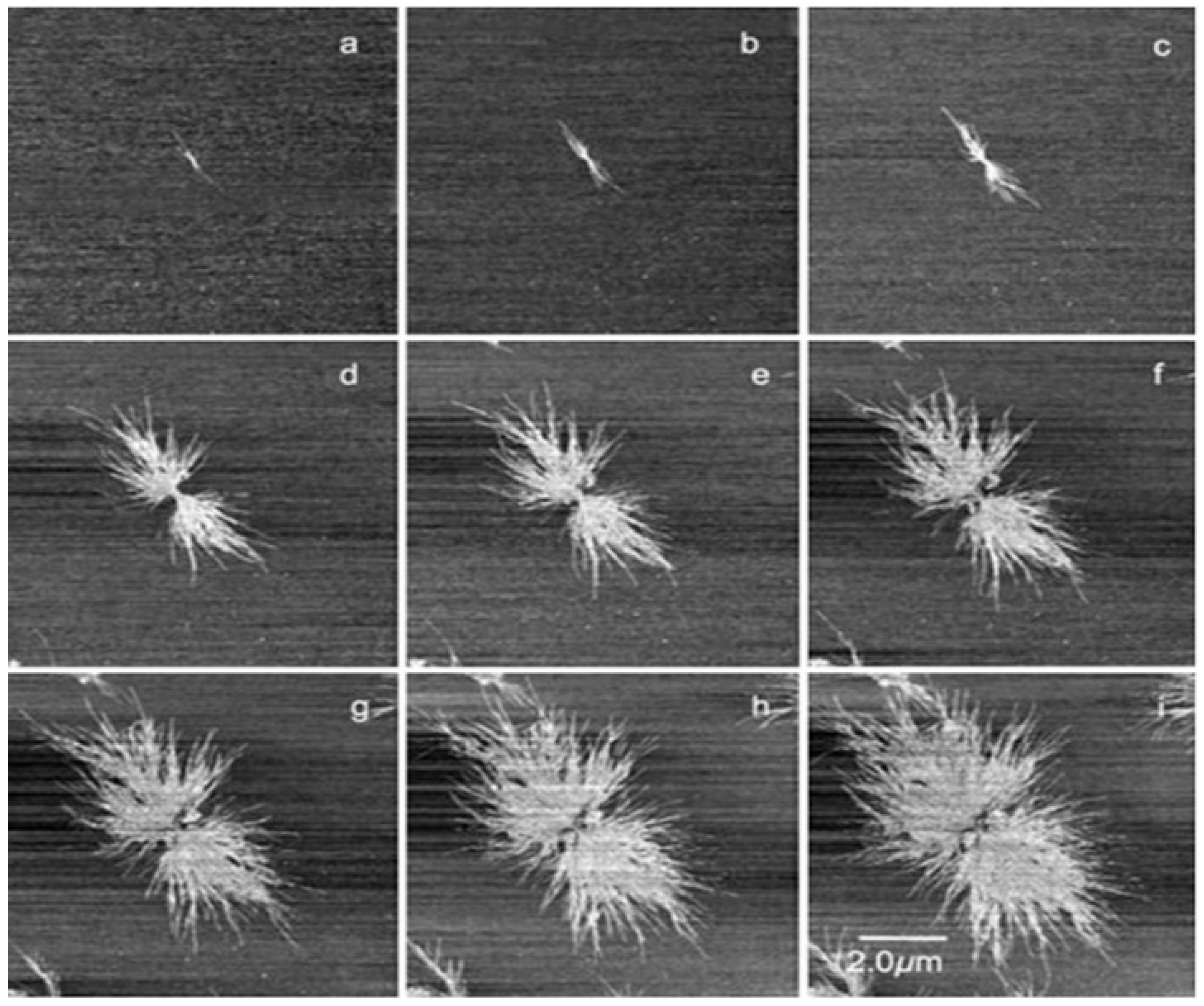 Polymers 12 01142 g006 Polymers 12 01142 g006