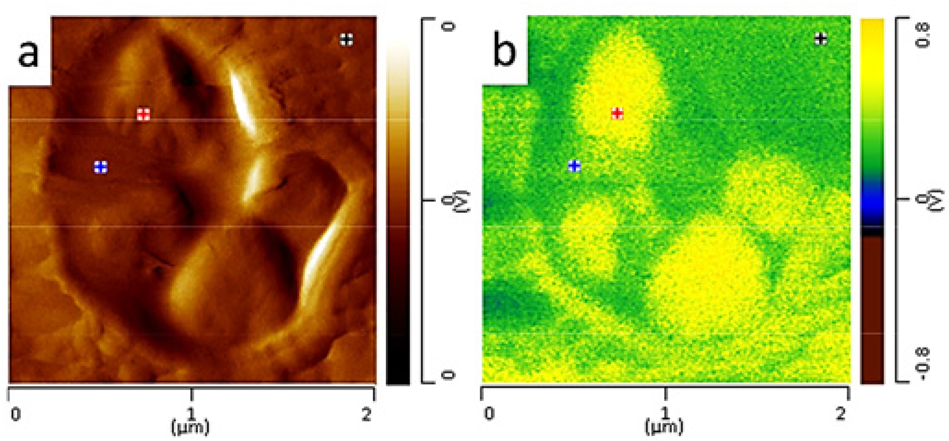 Polymers 12 01142 g008 Polymers 12 01142 g008