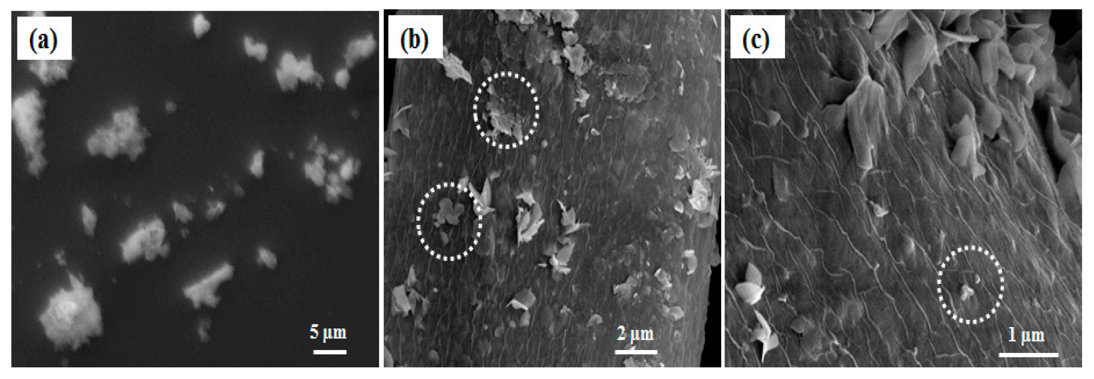 Polymers 12 01151 g002 Polymers 12 01151 g002
