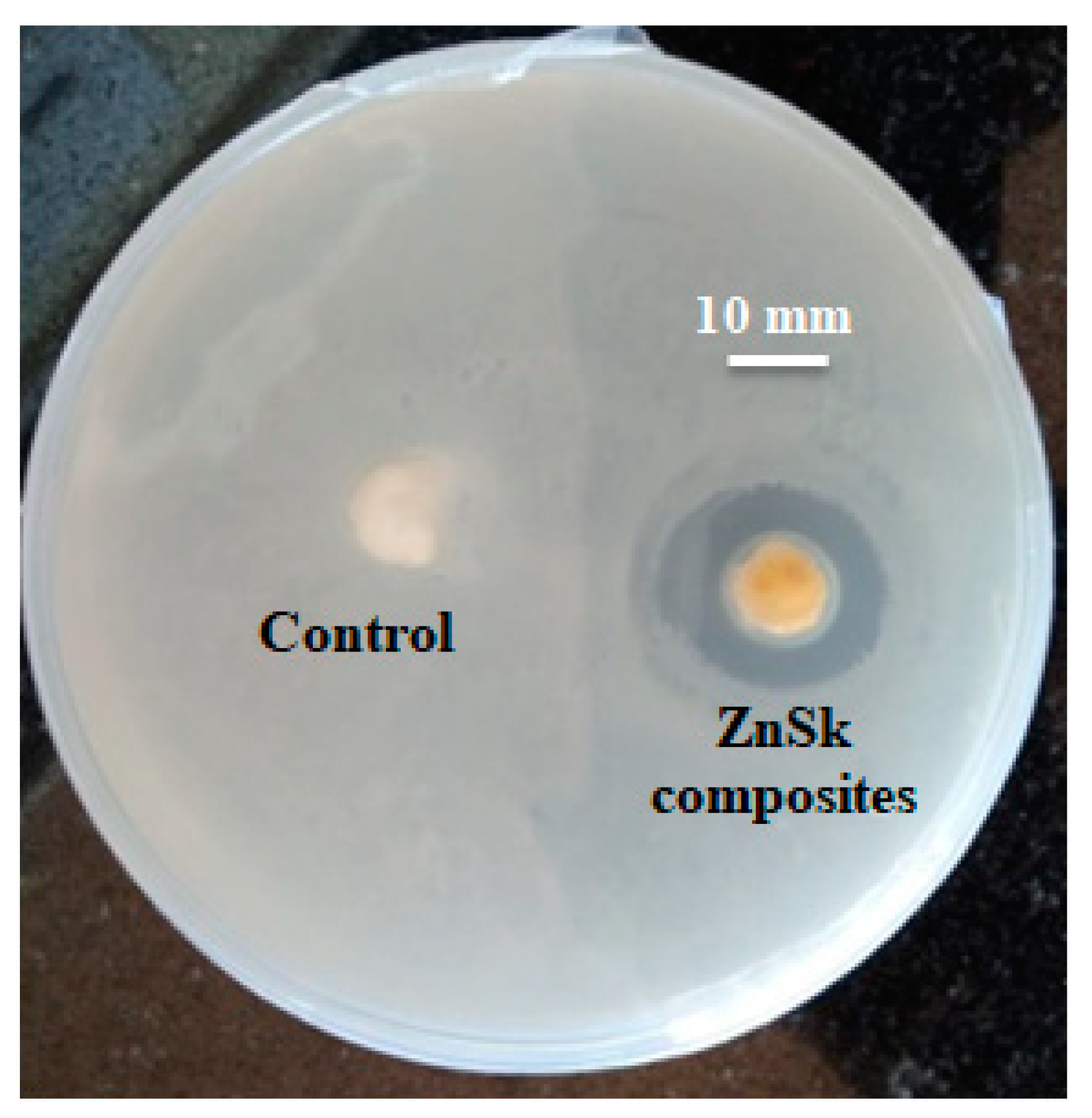 Polymers 12 01151 g007 Polymers 12 01151 g007