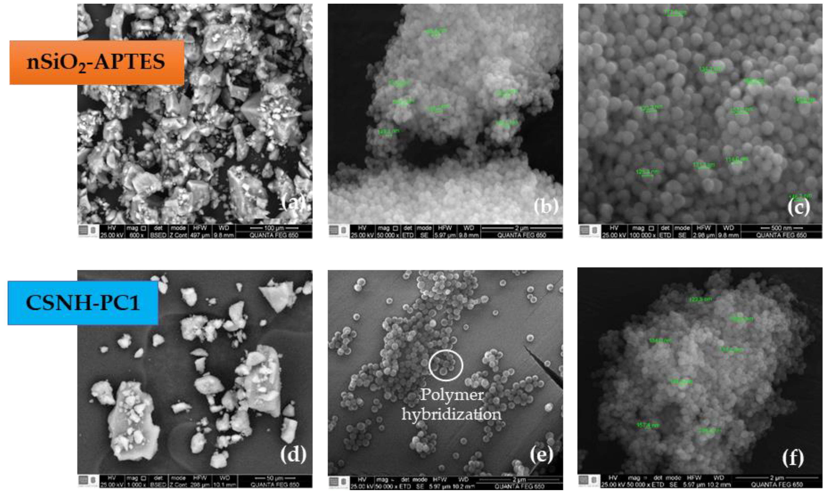 Polymers 12 01152 g002 Polymers 12 01152 g002