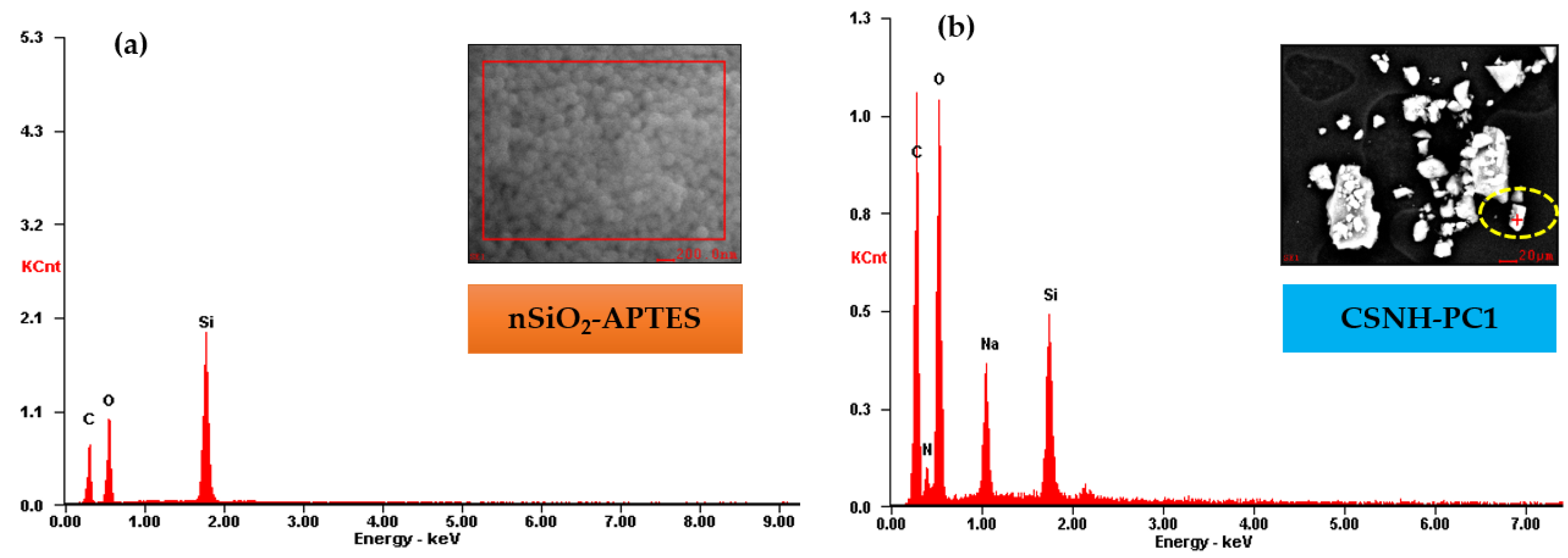 Polymers 12 01152 g003 Polymers 12 01152 g003