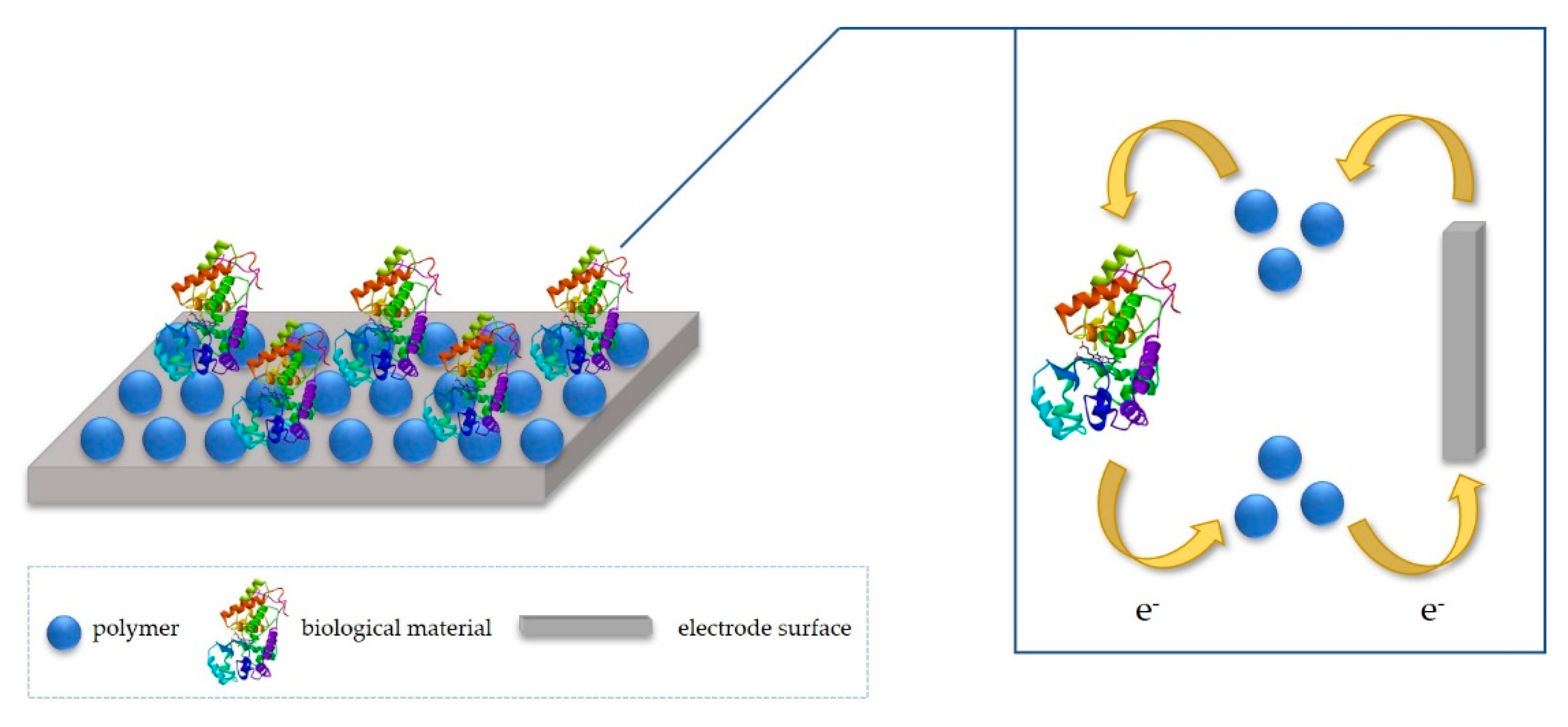 Polymers 12 01154 g001 Polymers 12 01154 g001