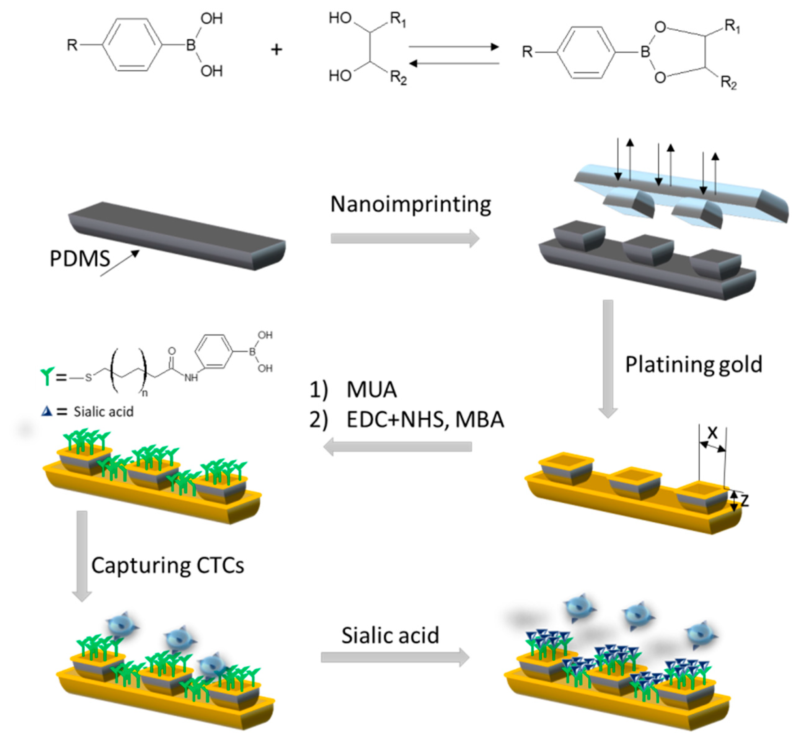 Polymers 12 01154 g012 Polymers 12 01154 g012