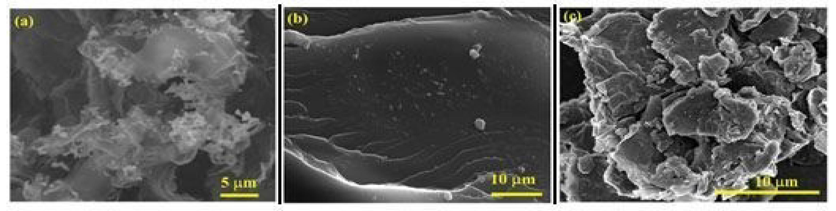 Polymers 12 01155 g005