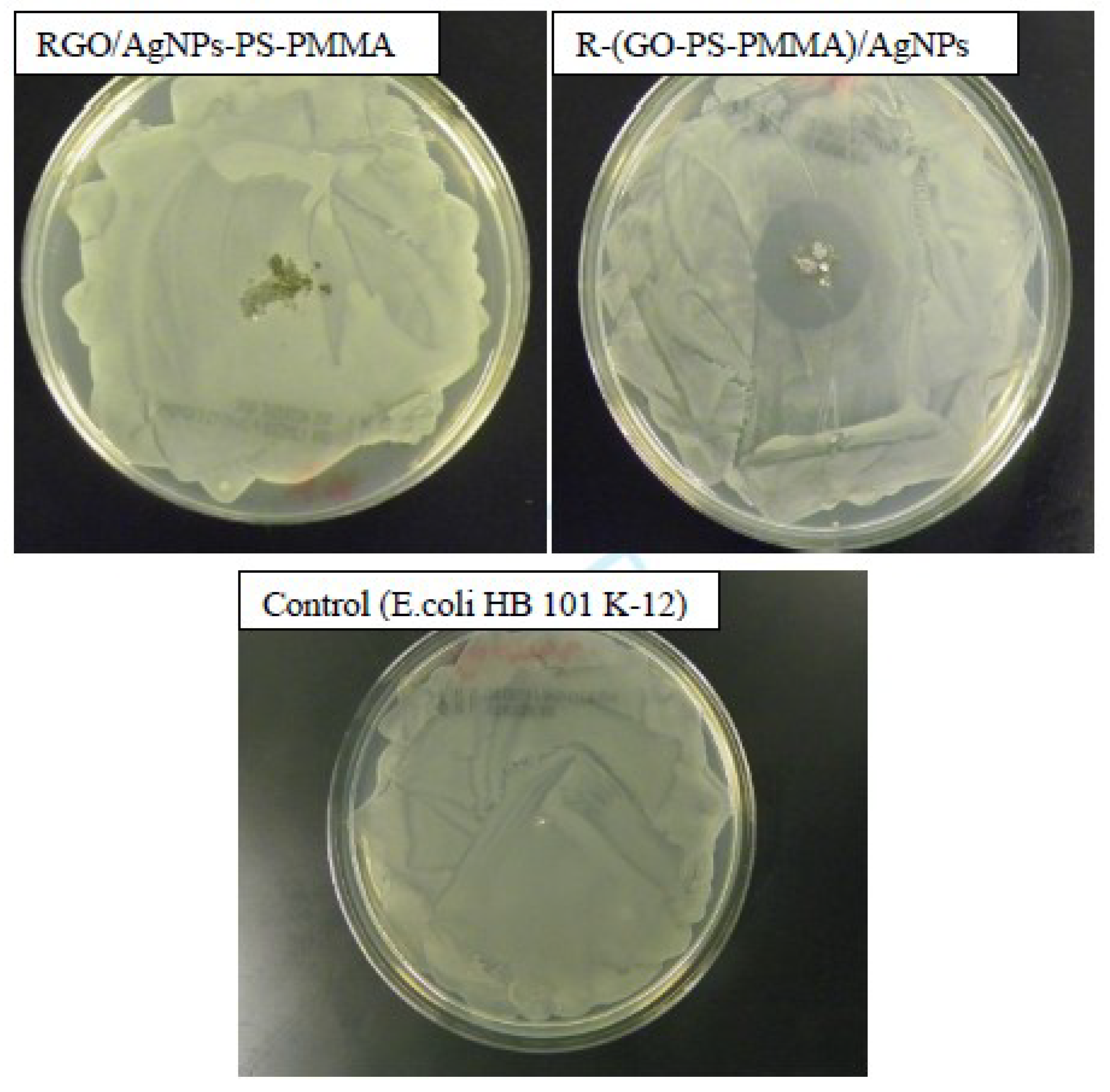 Polymers 12 01155 g010
