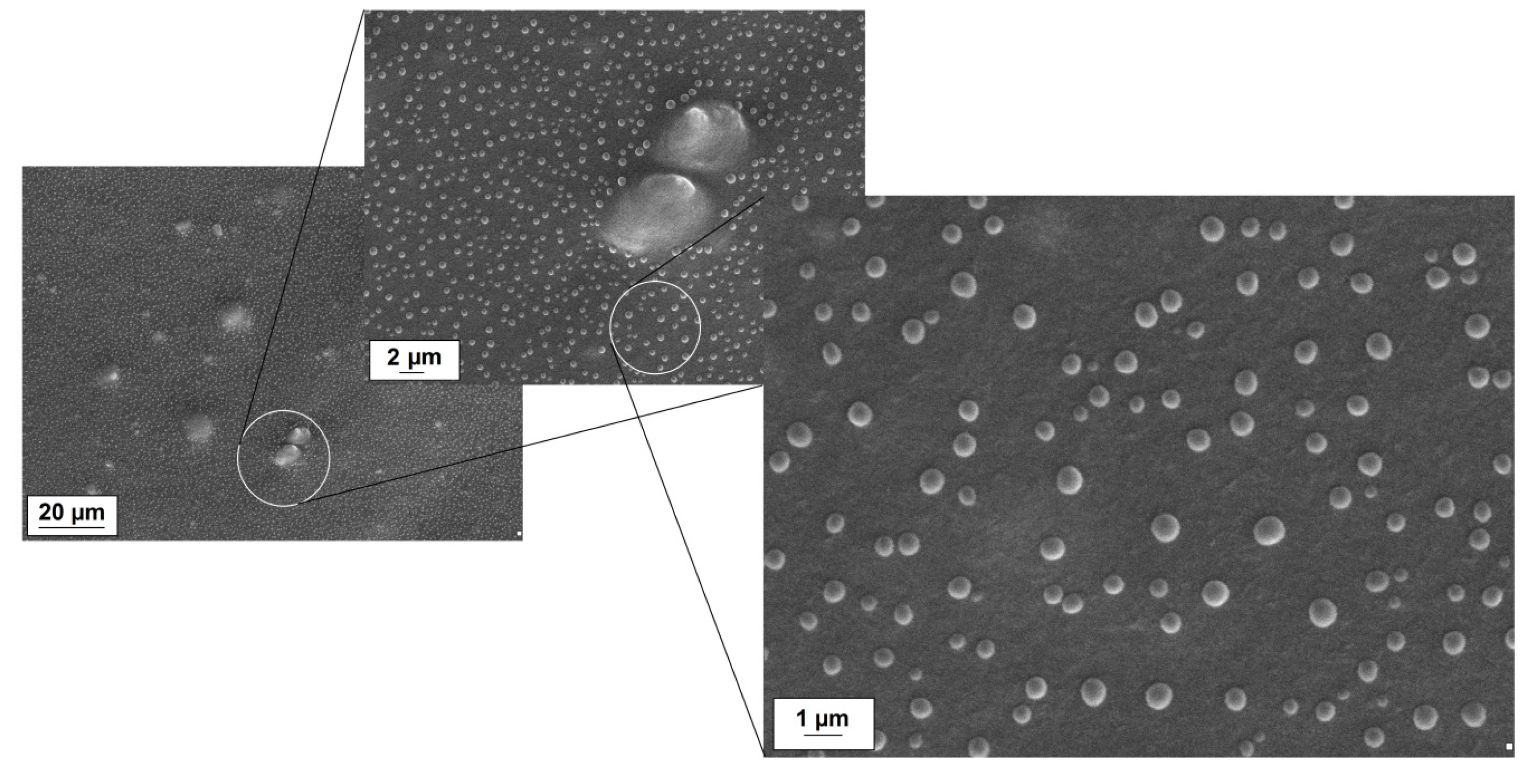 Polymers 12 01156 g005 Polymers 12 01156 g005