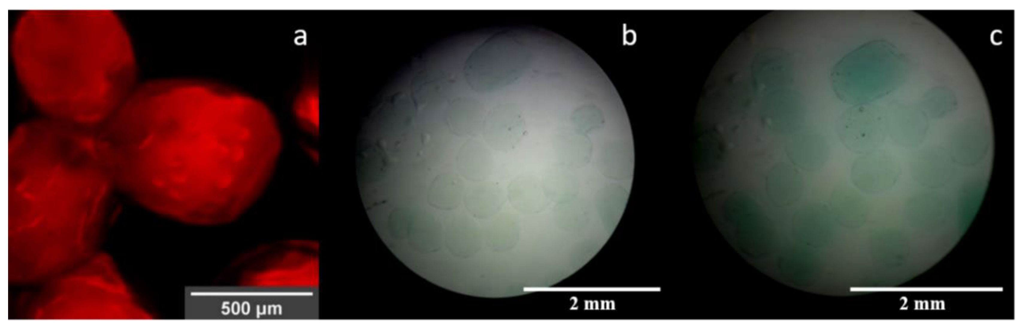 Polymers 12 01158 g008 Polymers 12 01158 g008