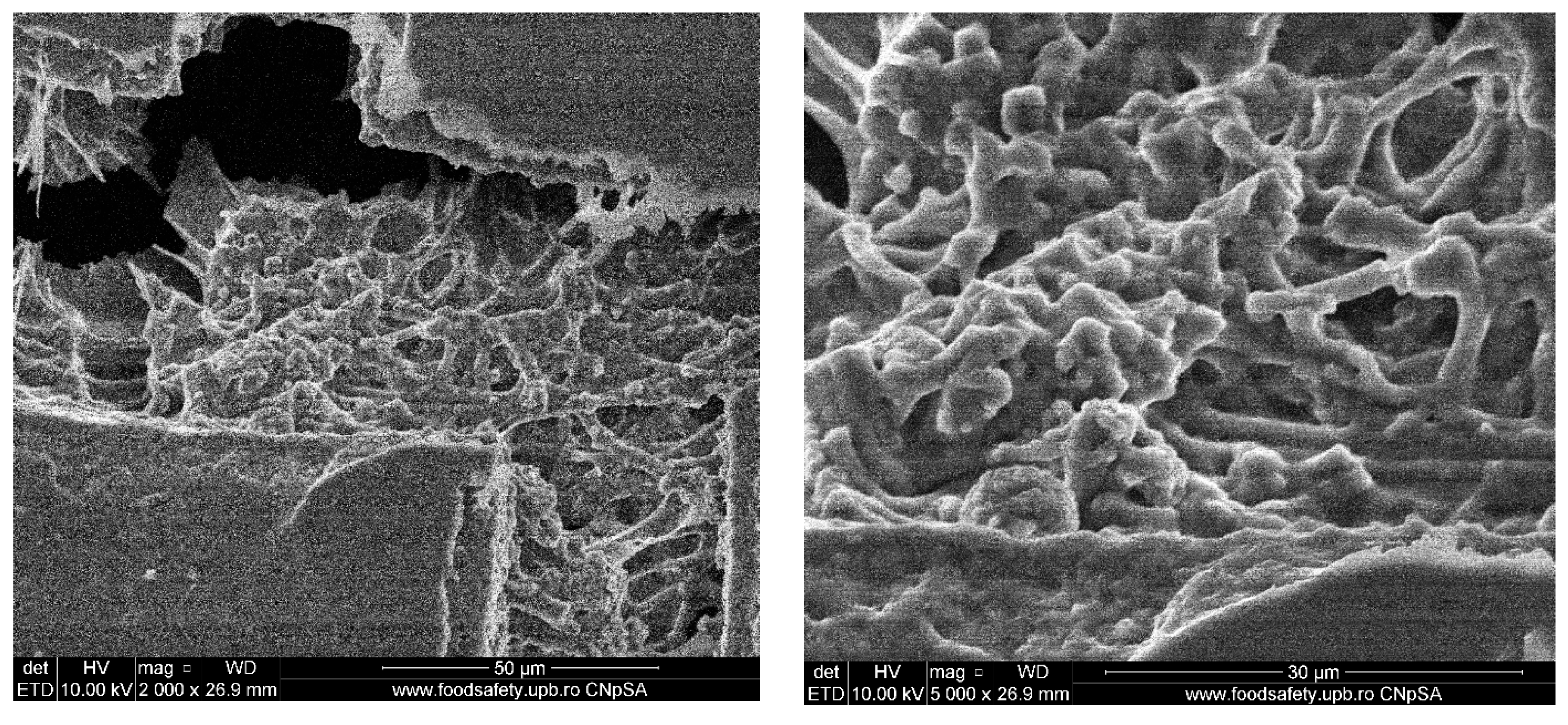 Polymers 12 01161 g003 Polymers 12 01161 g003