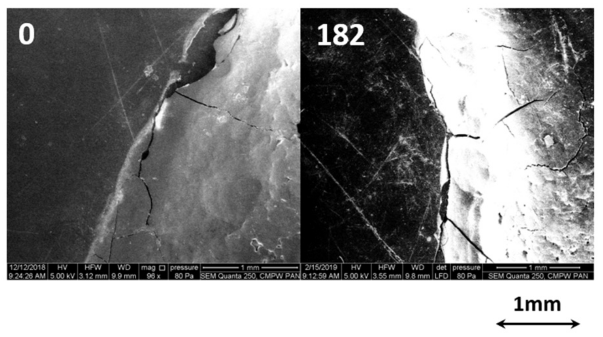 Polymers 12 01167 g007 Polymers 12 01167 g007