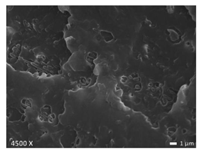 Polymers 12 01171 i001 Polymers 12 01171 i001