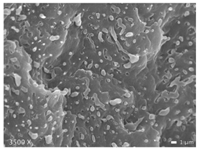 Polymers 12 01171 i002 Polymers 12 01171 i002