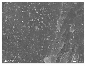 Polymers 12 01171 i003 Polymers 12 01171 i003