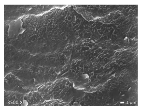 Polymers 12 01171 i004 Polymers 12 01171 i004