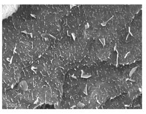 Polymers 12 01171 i005 Polymers 12 01171 i005