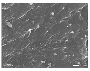 Polymers 12 01171 i006 Polymers 12 01171 i006