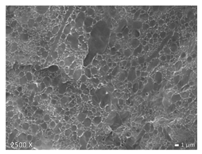 Polymers 12 01171 i007 Polymers 12 01171 i007