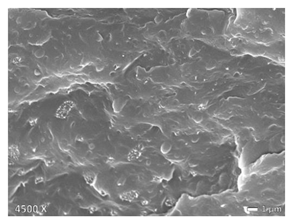 Polymers 12 01171 i009 Polymers 12 01171 i009