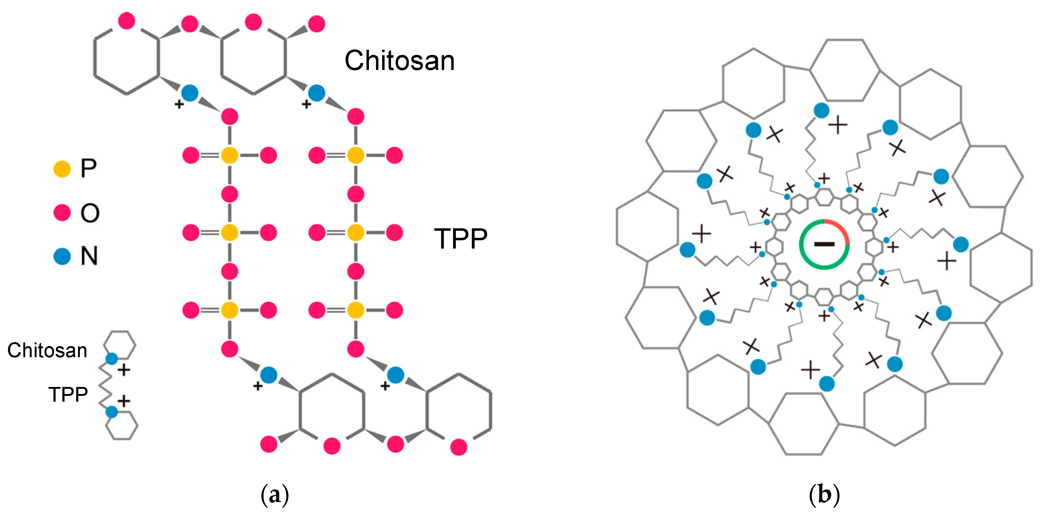 Polymers 12 01177 g003 Polymers 12 01177 g003