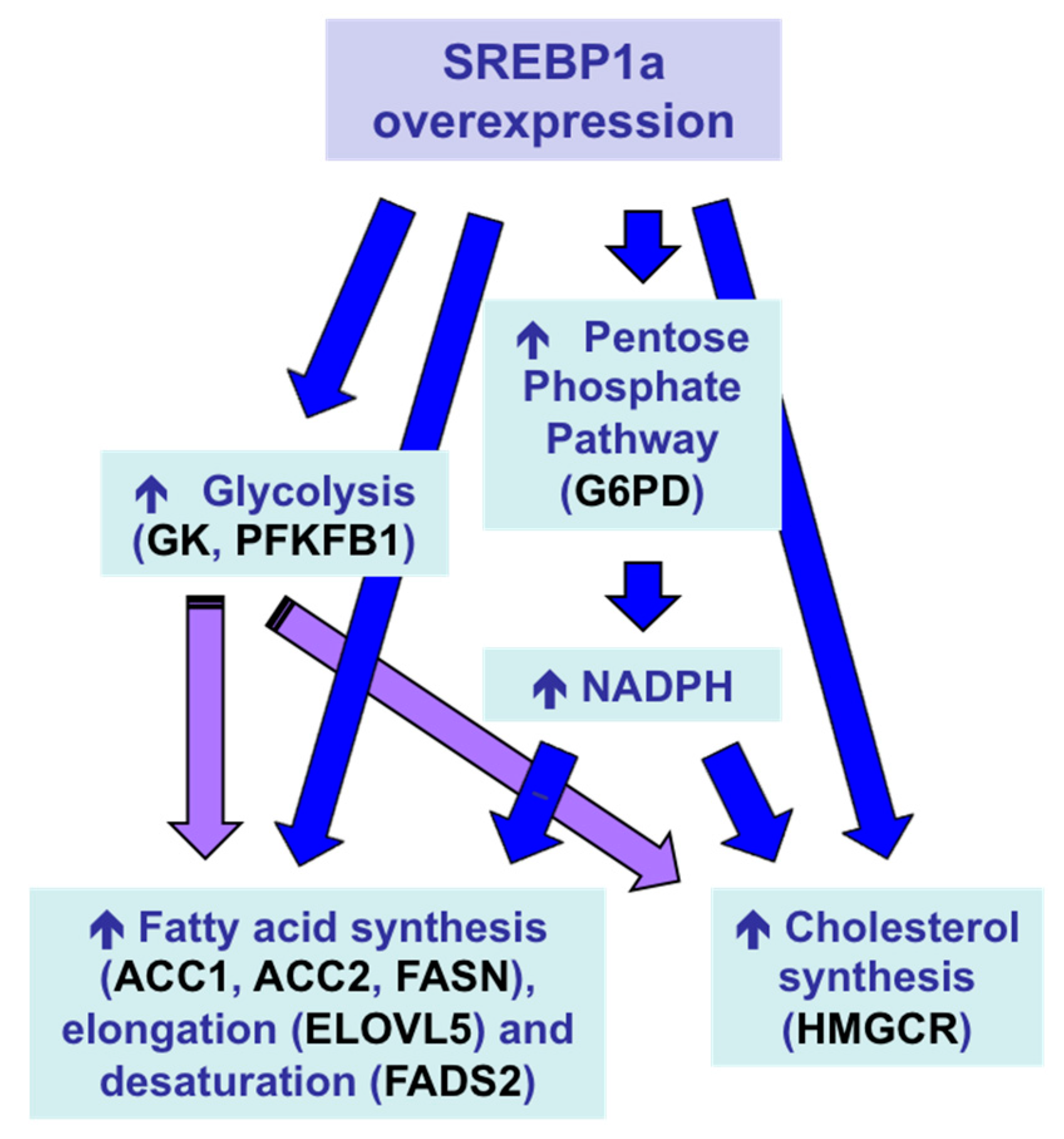 Polymers 12 01177 g007 Polymers 12 01177 g007