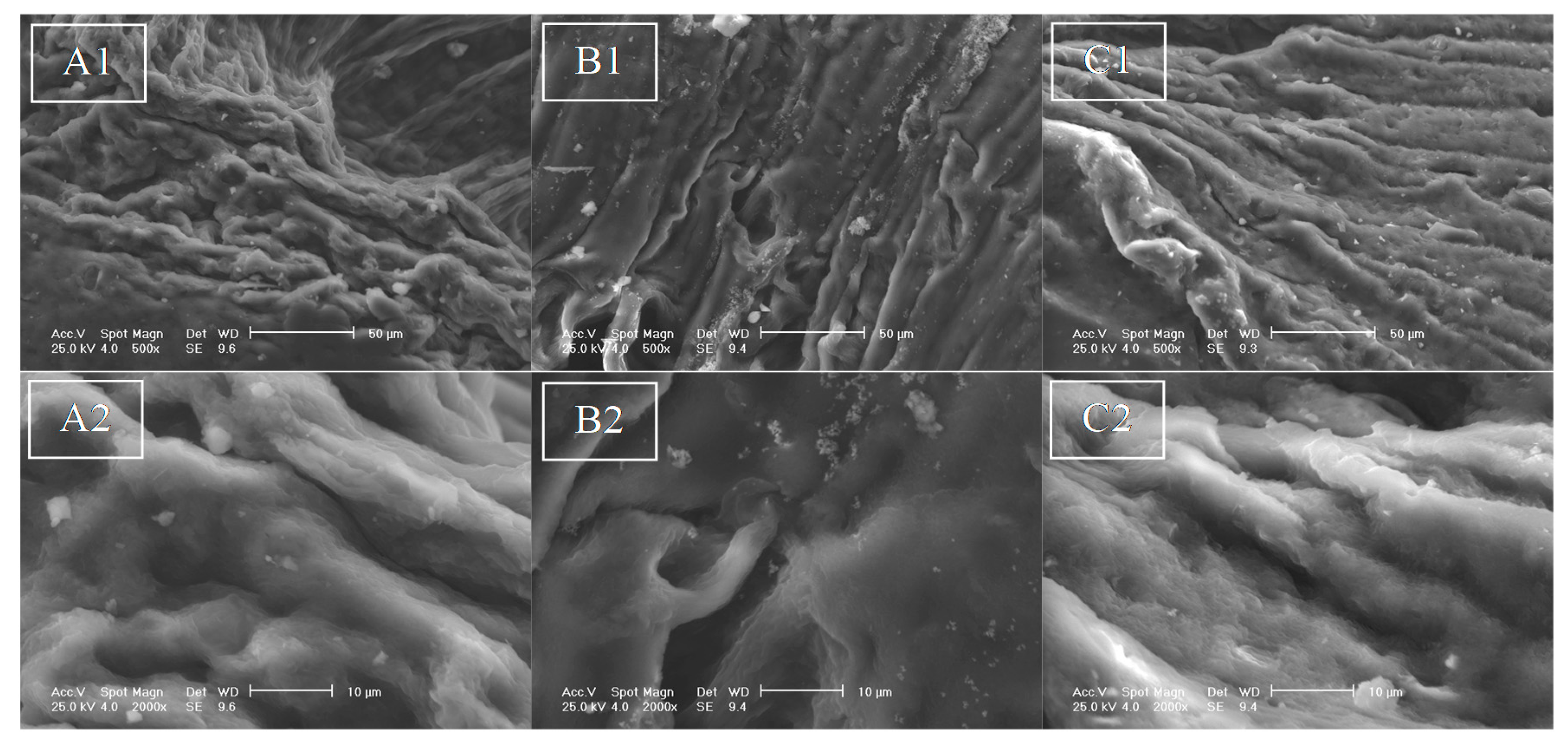 Polymers 12 01182 g006 Polymers 12 01182 g006