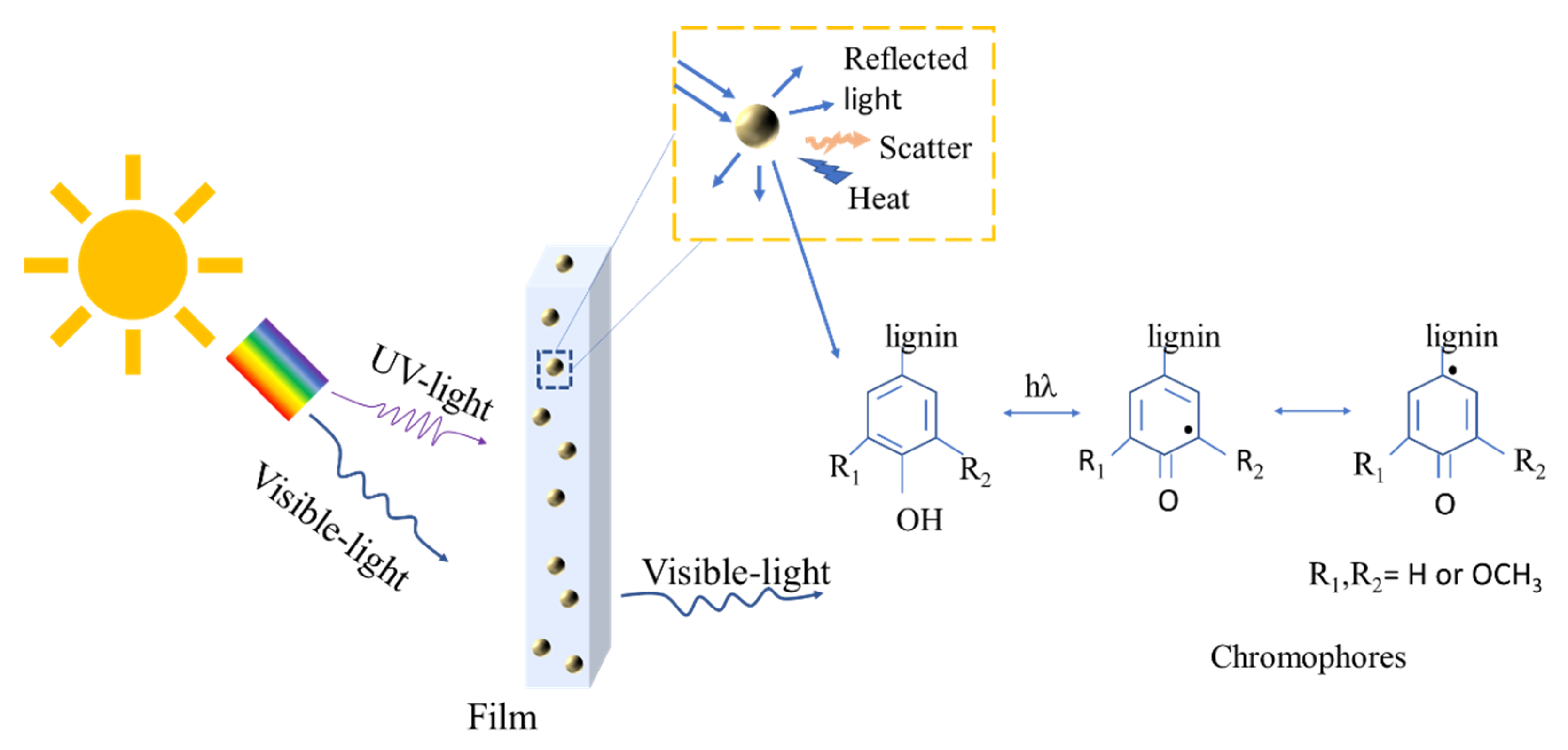 Polymers Free FullText Transparent Ultraviolet (UV)Shielding Films Made from Waste Hemp
