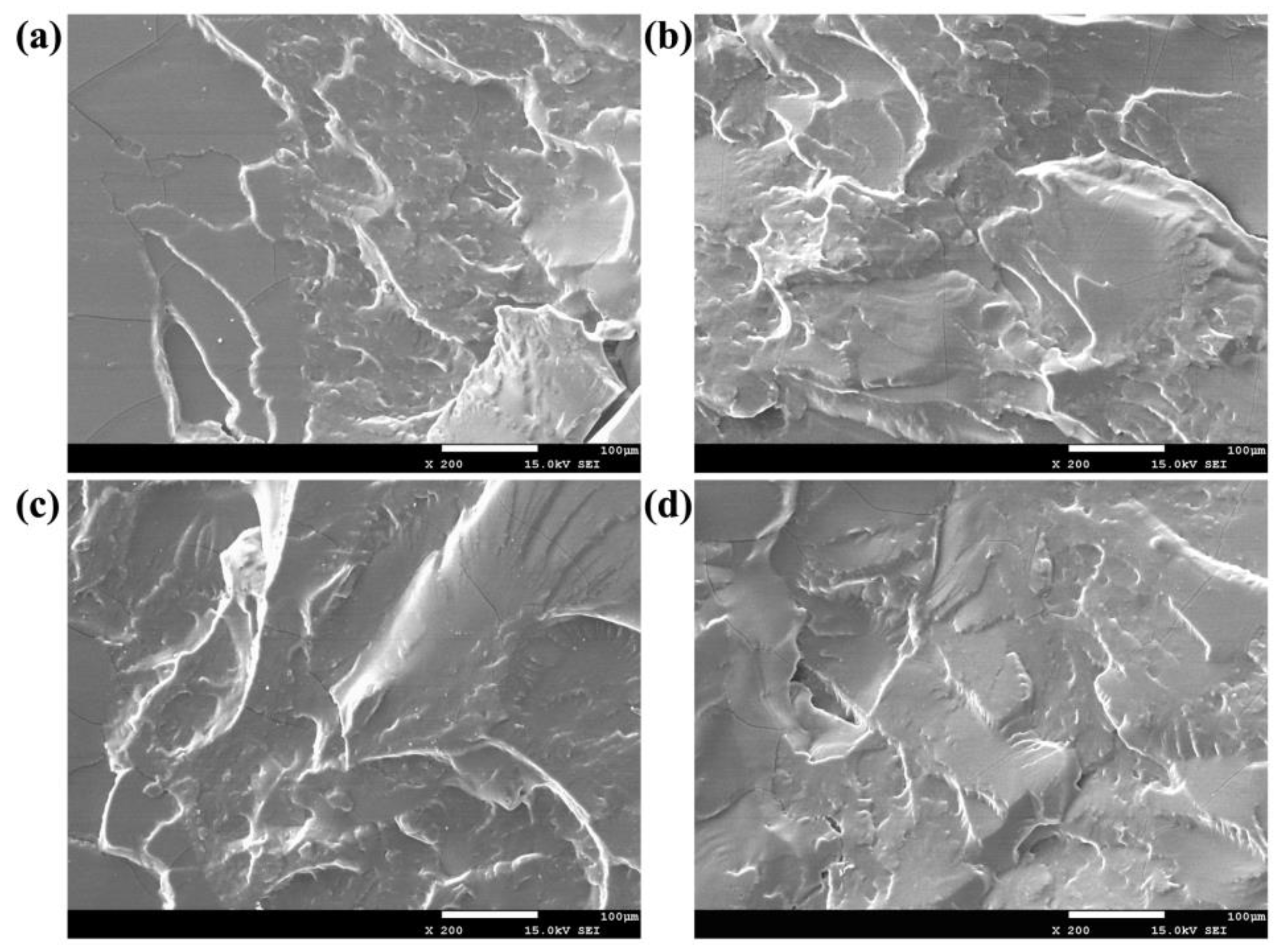Polymers 12 01196 g003