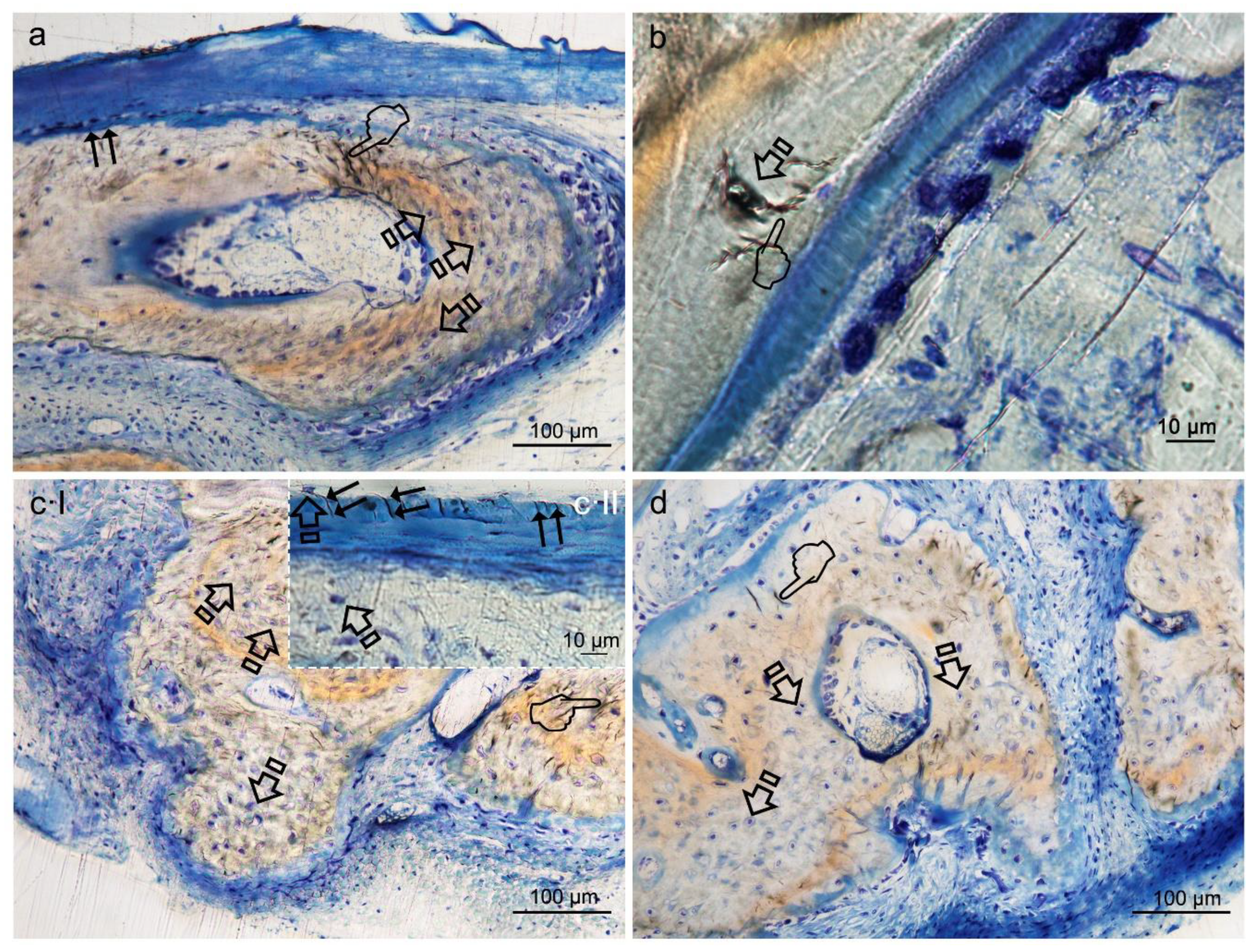 Polymers 12 01201 g003