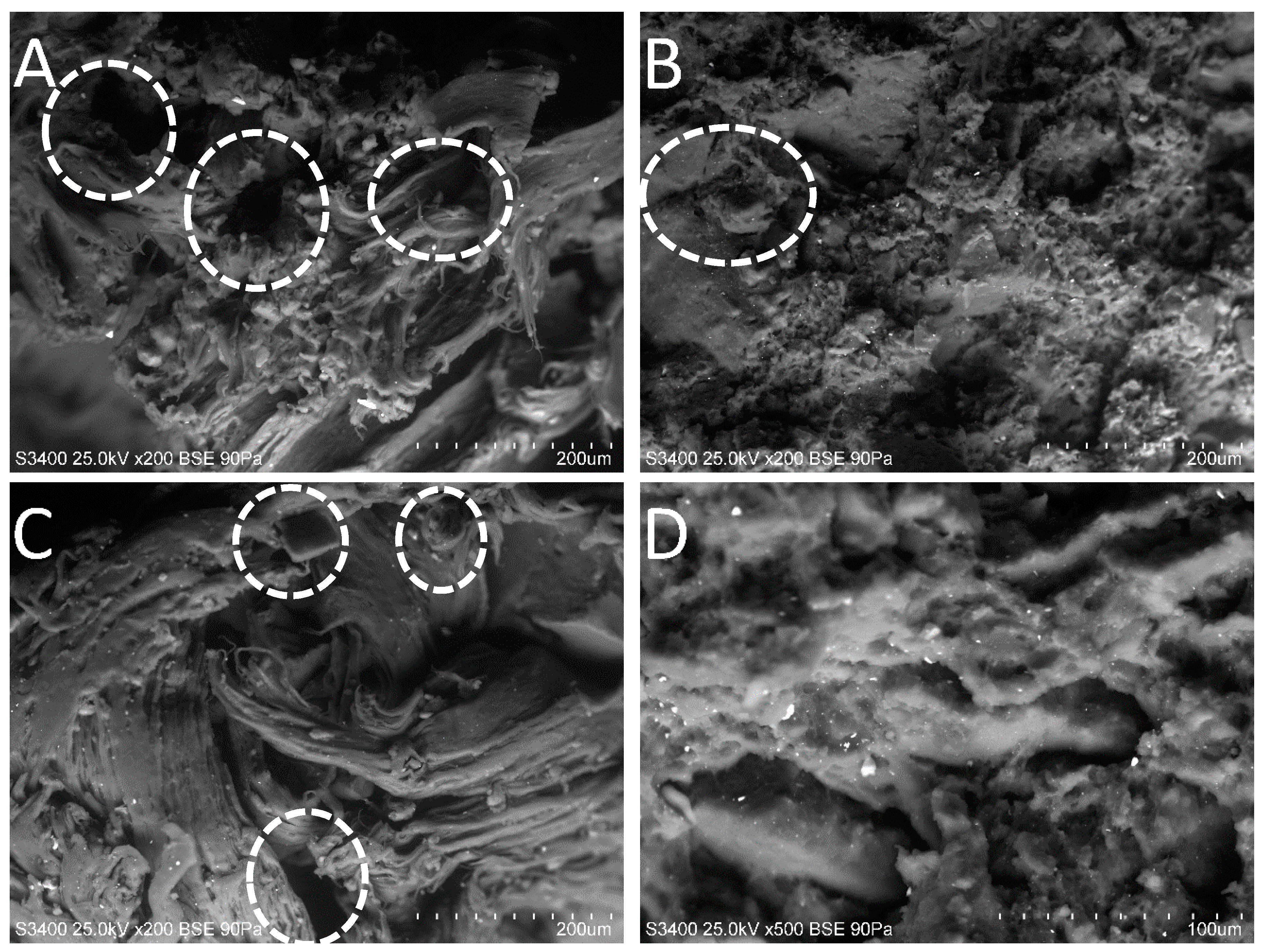 Polymers 12 01204 g010 Polymers 12 01204 g010