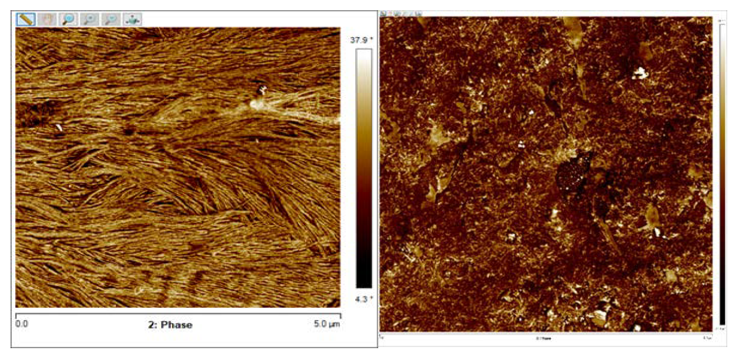 Polymers 12 01205 g005