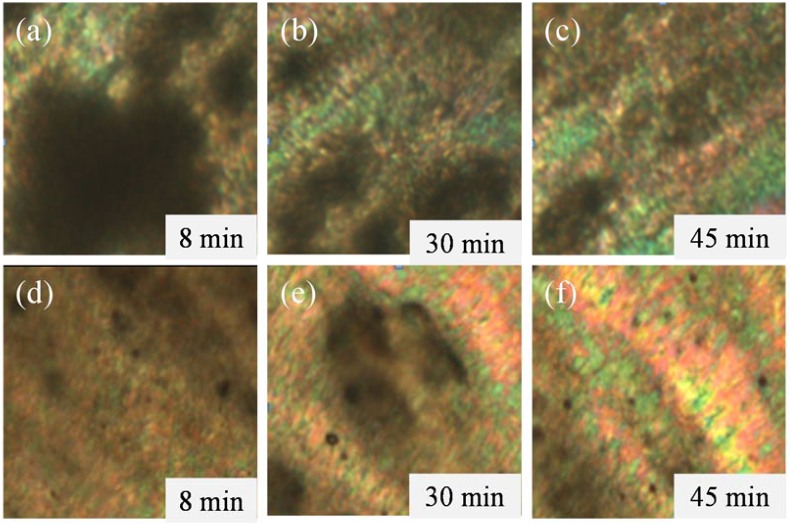 Polymers 12 01206 g002