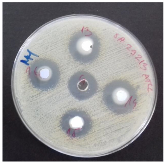 Ephedra foeminea as a Novel Source of Antimicrobial and Anti