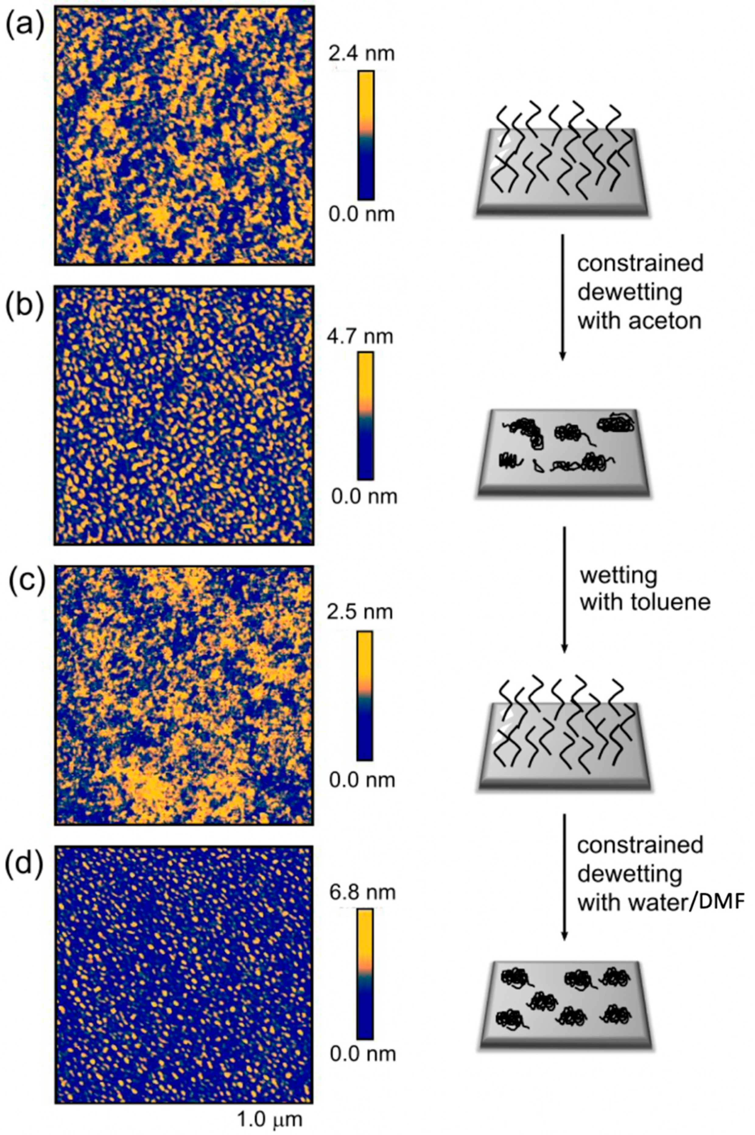 Polymers 12 01214 g003