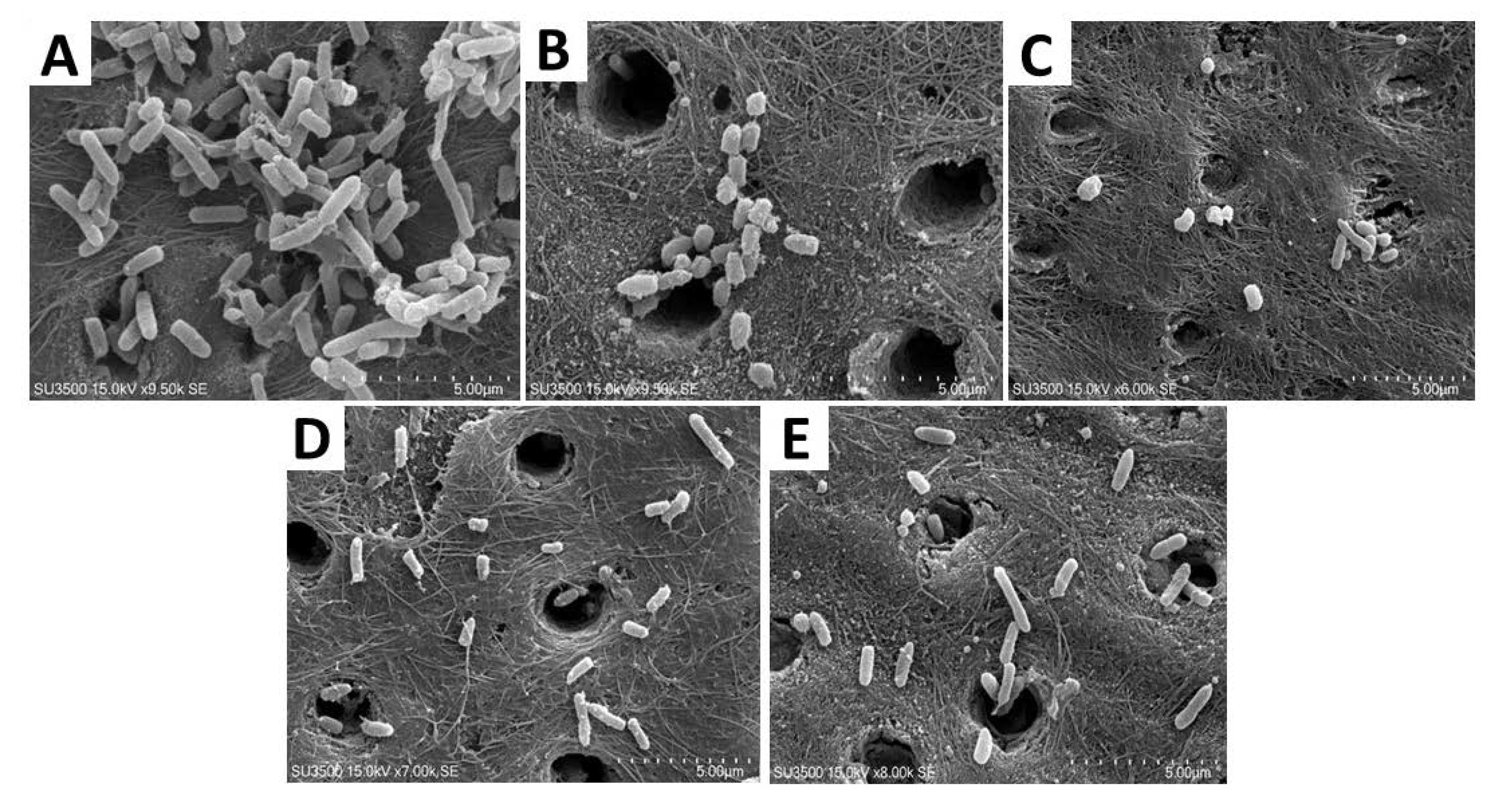 Polymers 12 01218 g003 Polymers 12 01218 g003