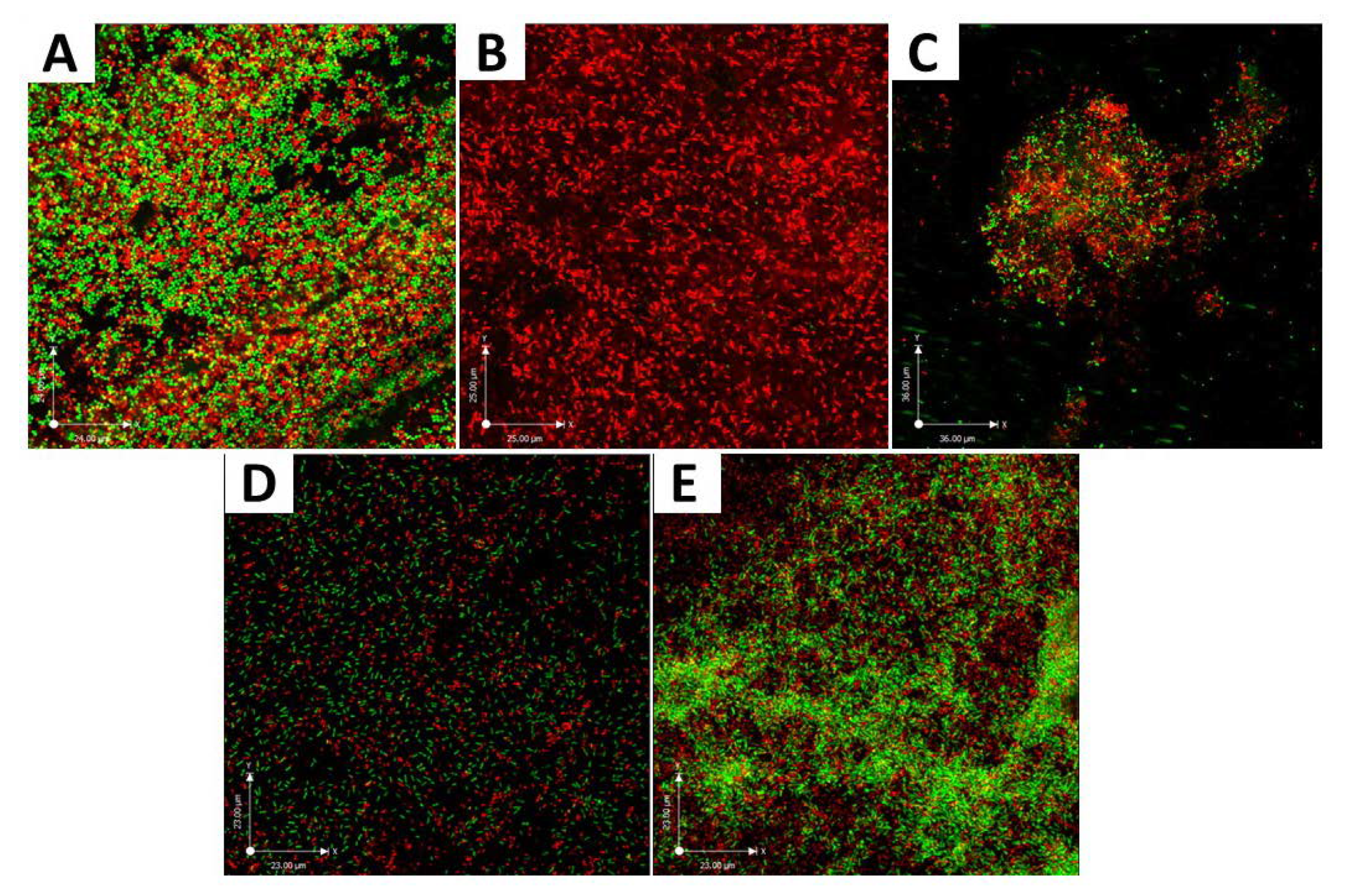 Polymers 12 01218 g004 Polymers 12 01218 g004