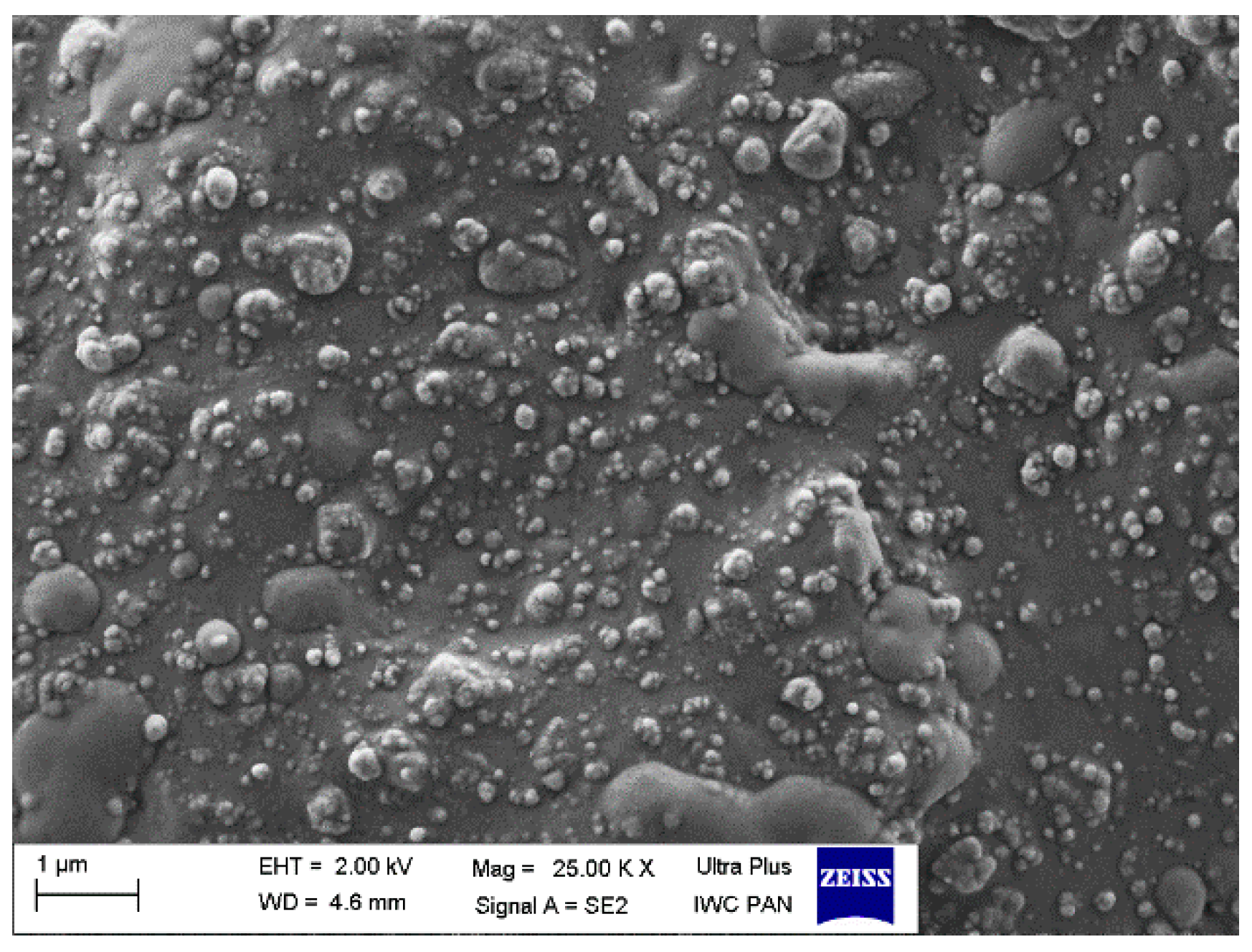 Polymers 12 01220 g009